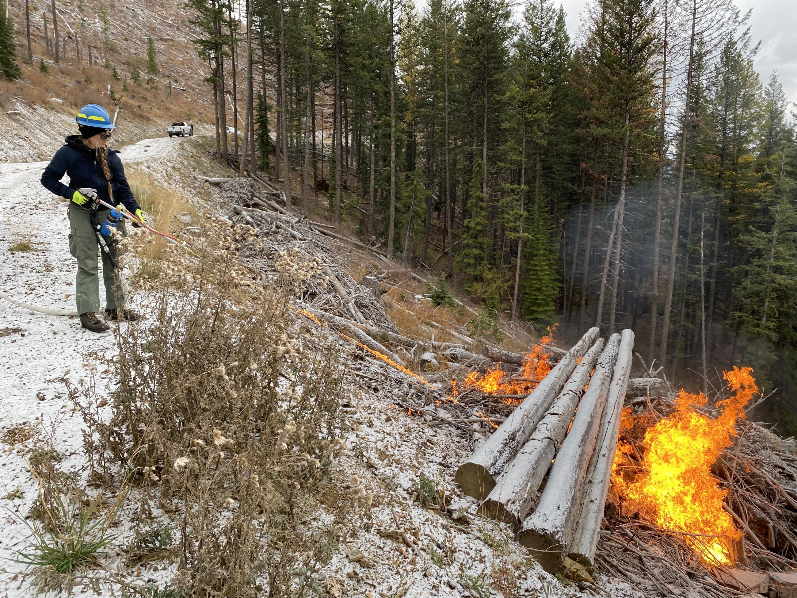 Terra torch in action on a Hall Wood unit pile burn 