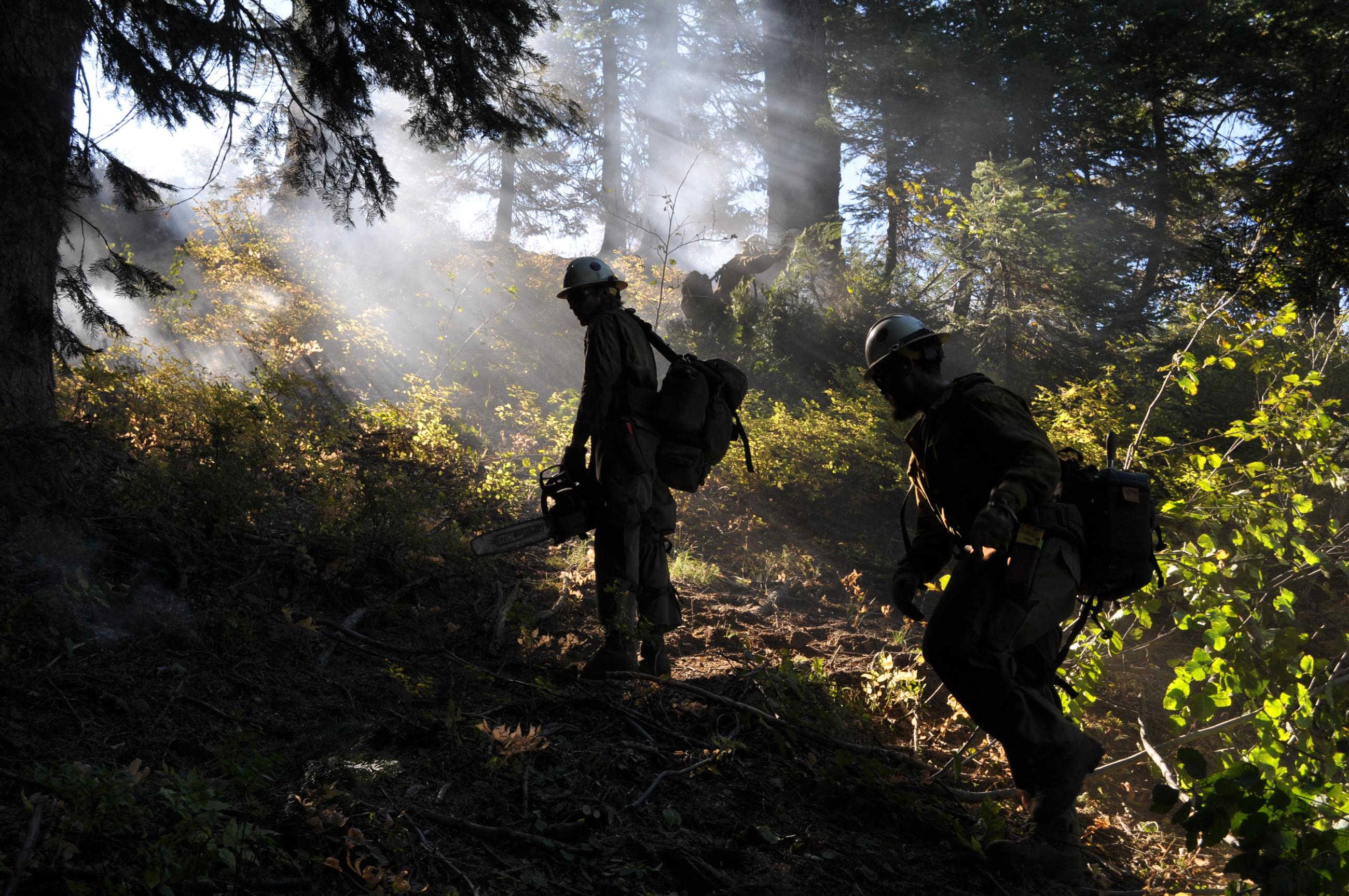 Two firefighters in forest silhouetted by hazy light