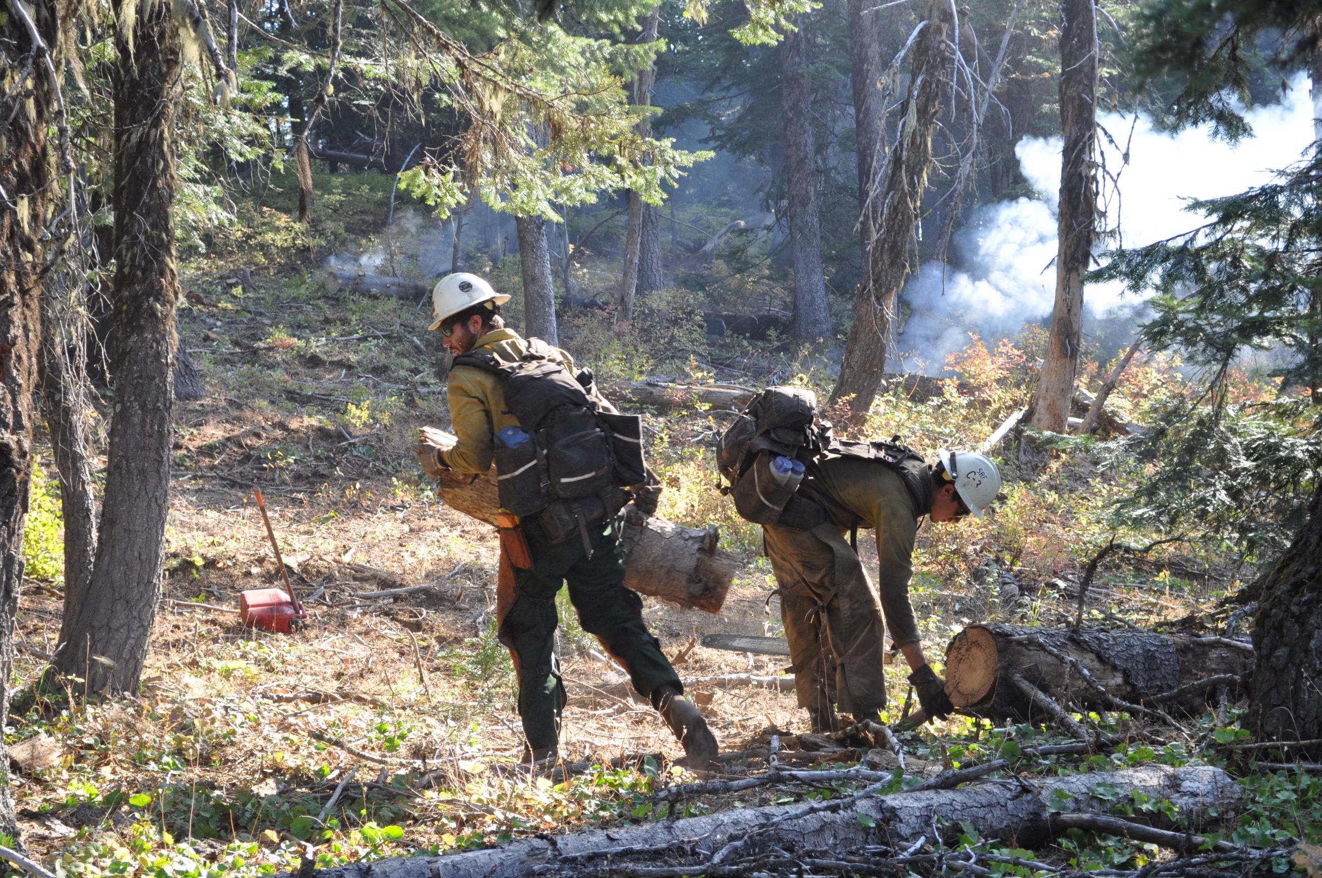 Two firefighters cutting and carrying tree stumps in smoky forest