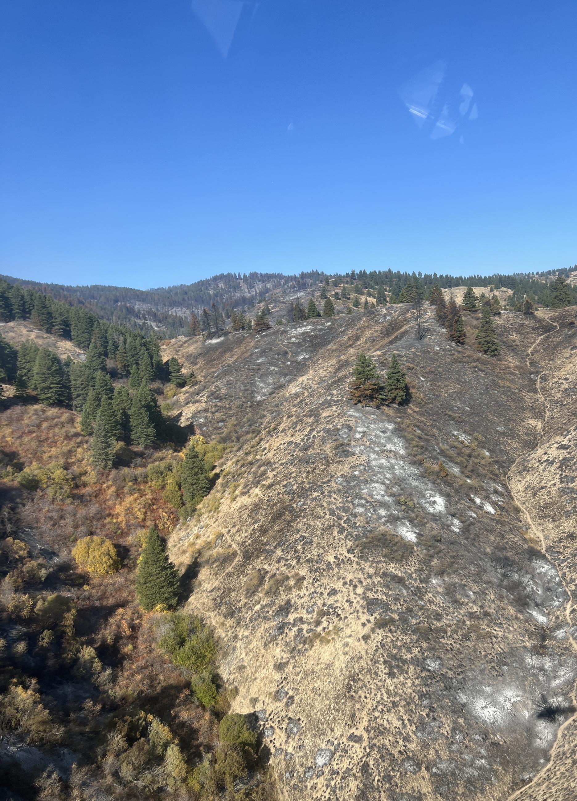 Photo of Valley Fire impacts from the air