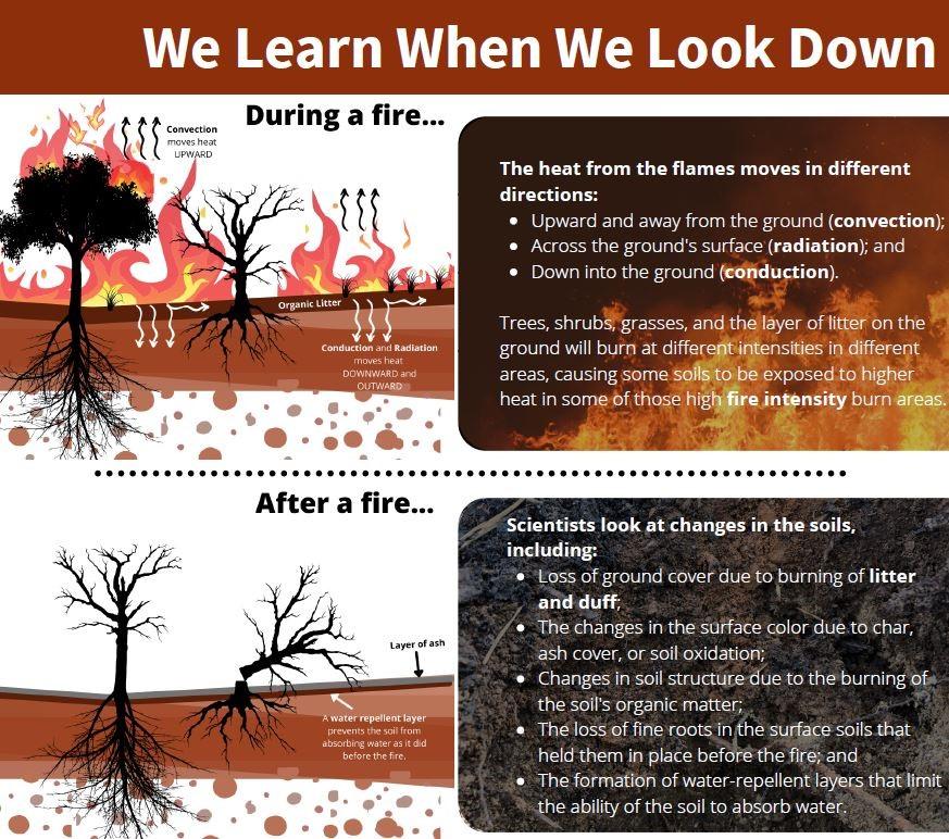 Image shows What we Learn when we look down at the post-fire burned area