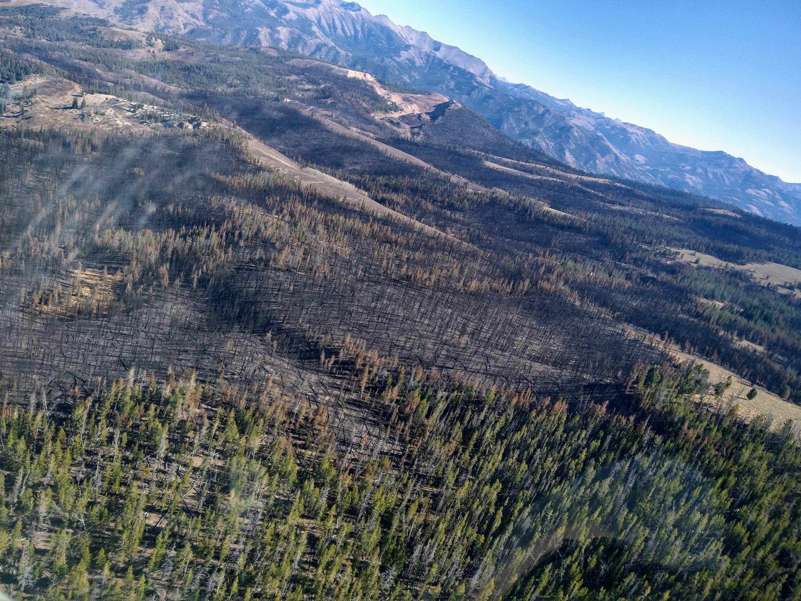 View looking east over the Frog Fire