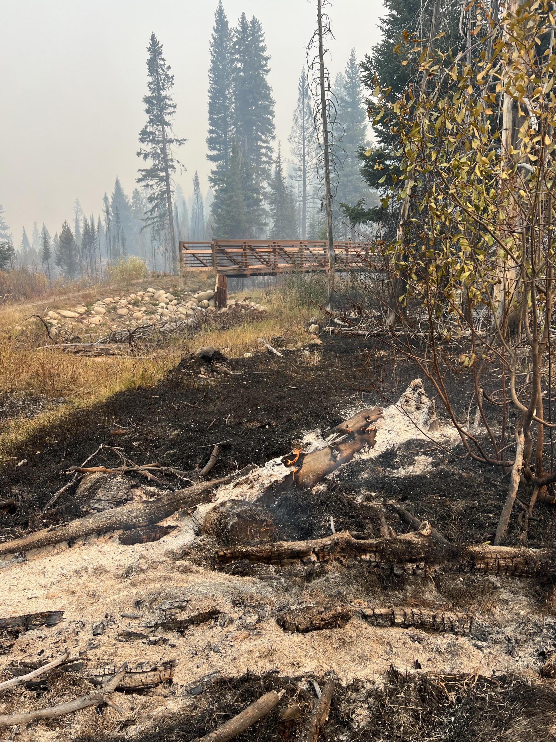 Trees in the background and right side. A bridge crossing a creek. Burned grass and logs in the foreground.