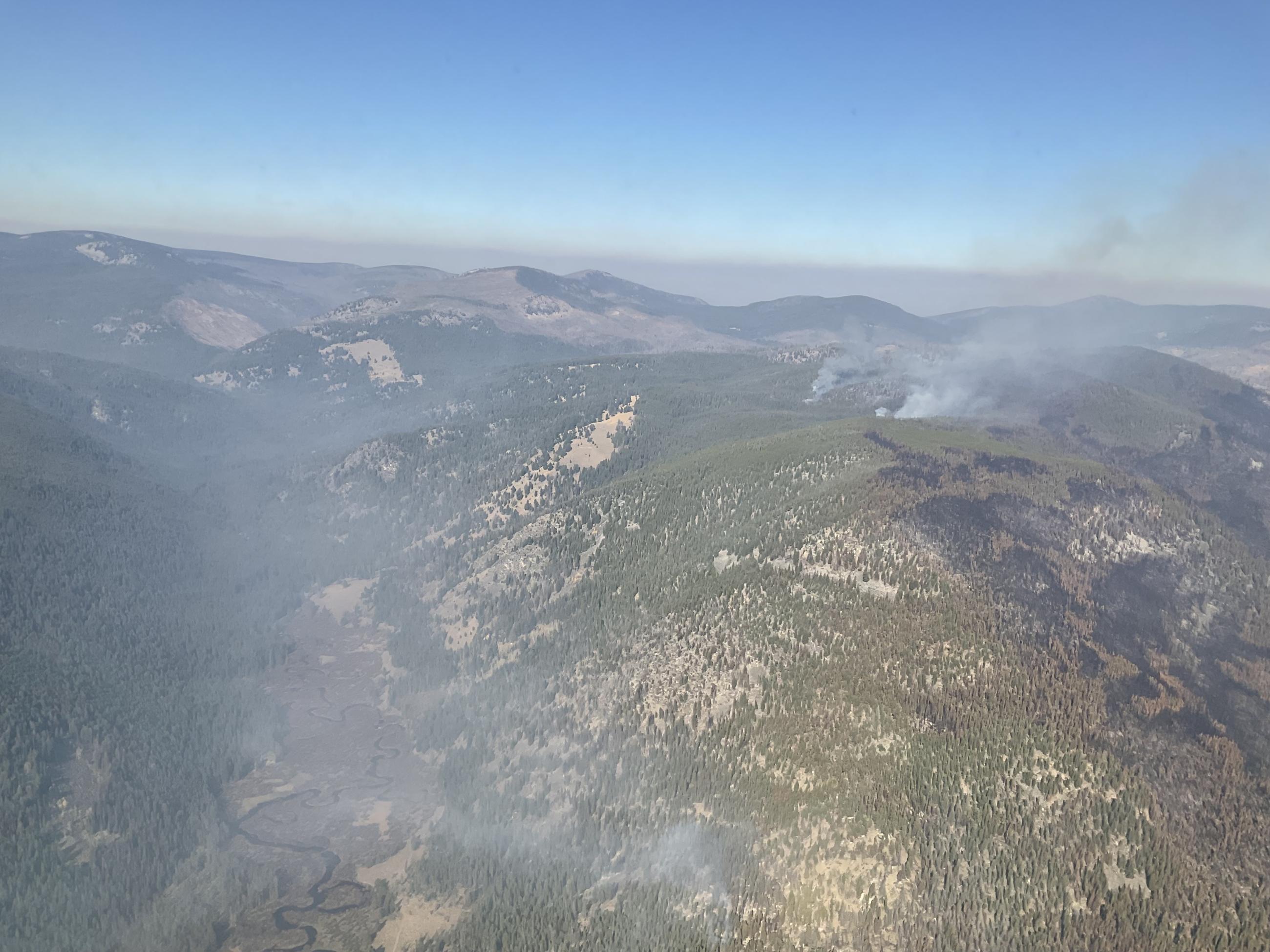 aerial view of wildfire burning a mosaic pattern in the forest