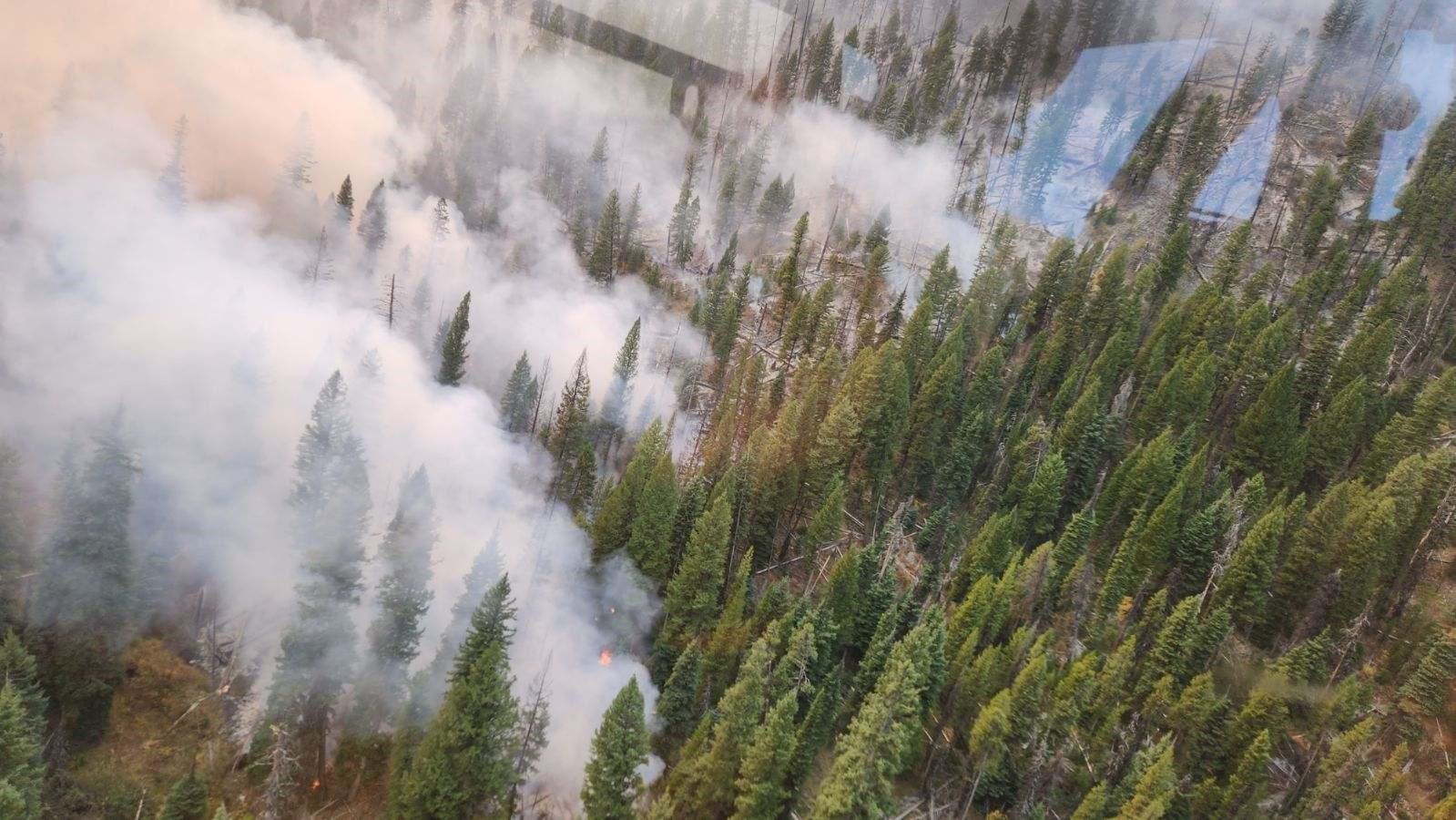 Aerial photo shows the Logan fire in the Edwardsburg area.