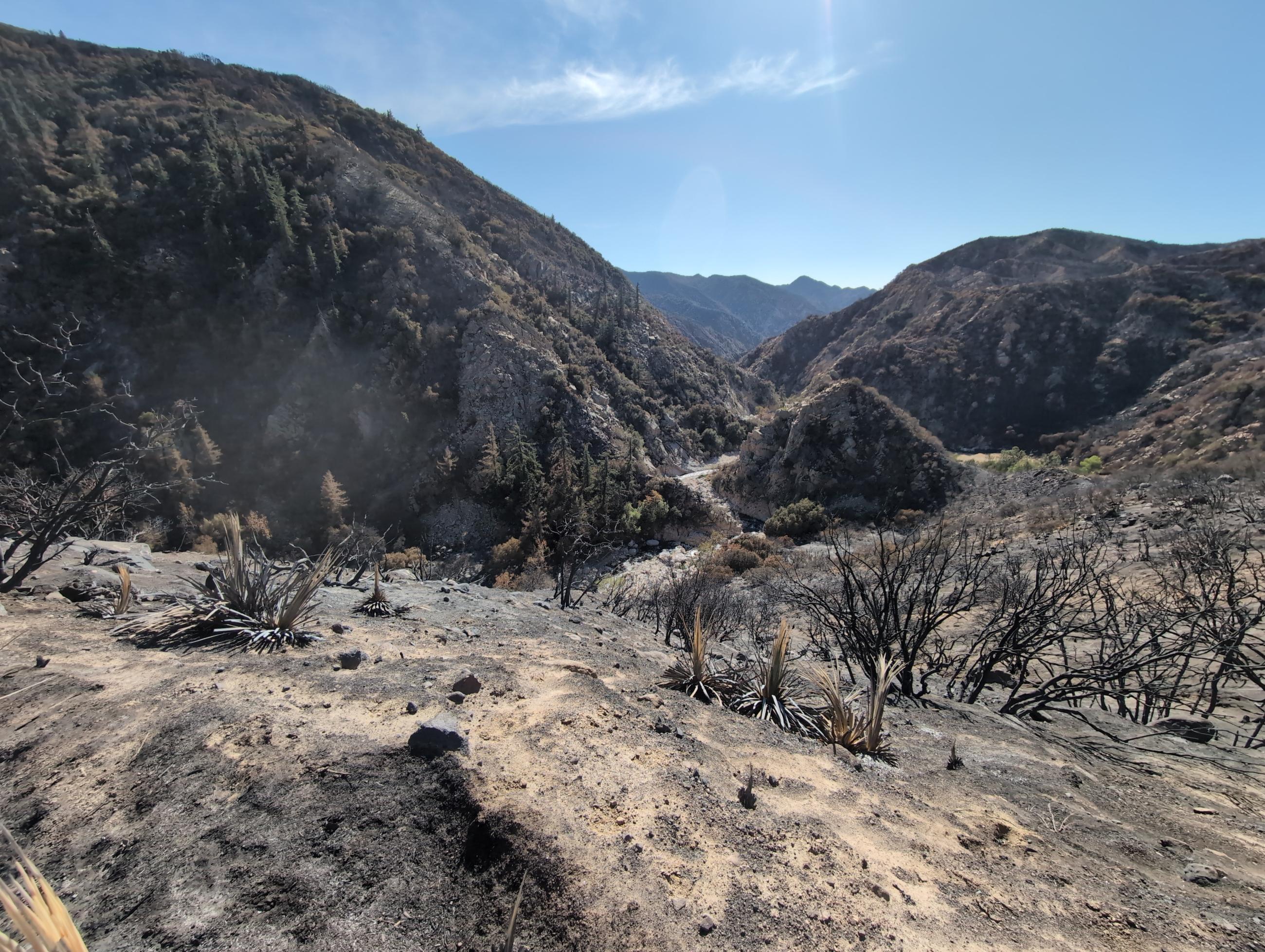 Image showing Looking down the rugged Santa Ana River Canyon towards Seven Oaks dam (out of sight), just above the Confluence of Bear Creek within the Phase 2 of the Line Fire perimeter