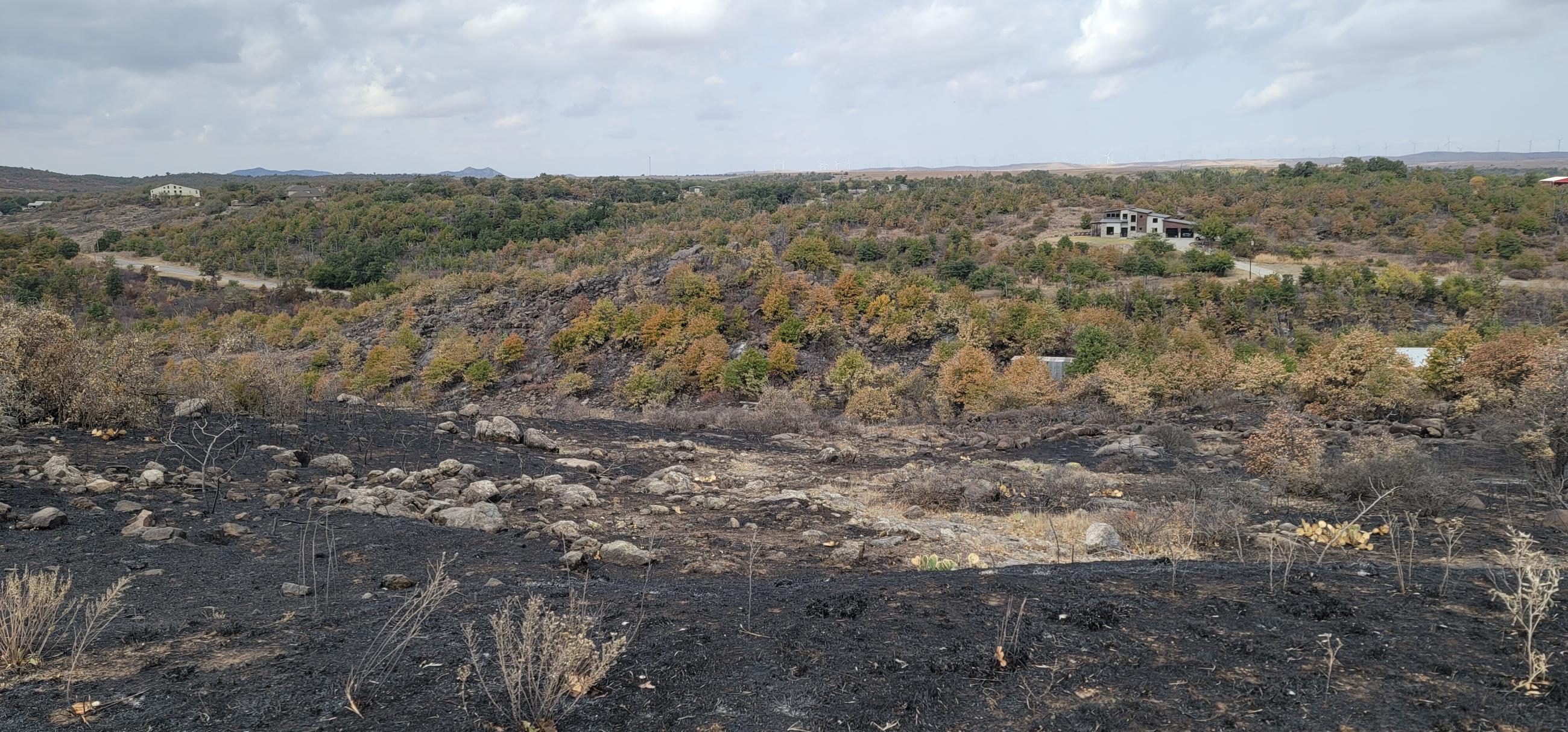 northside Rush Fire looking north across fireline