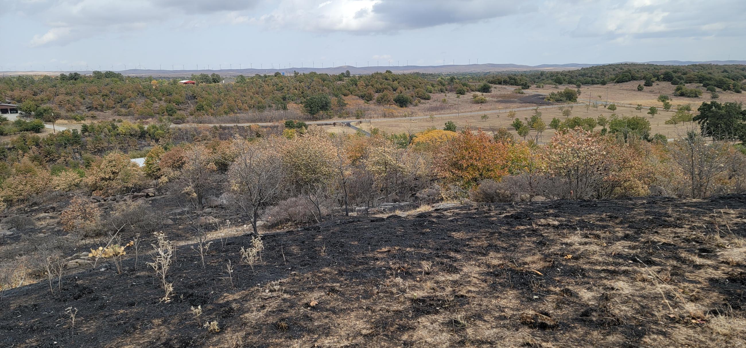 northside Rush Fire looking north across fireline