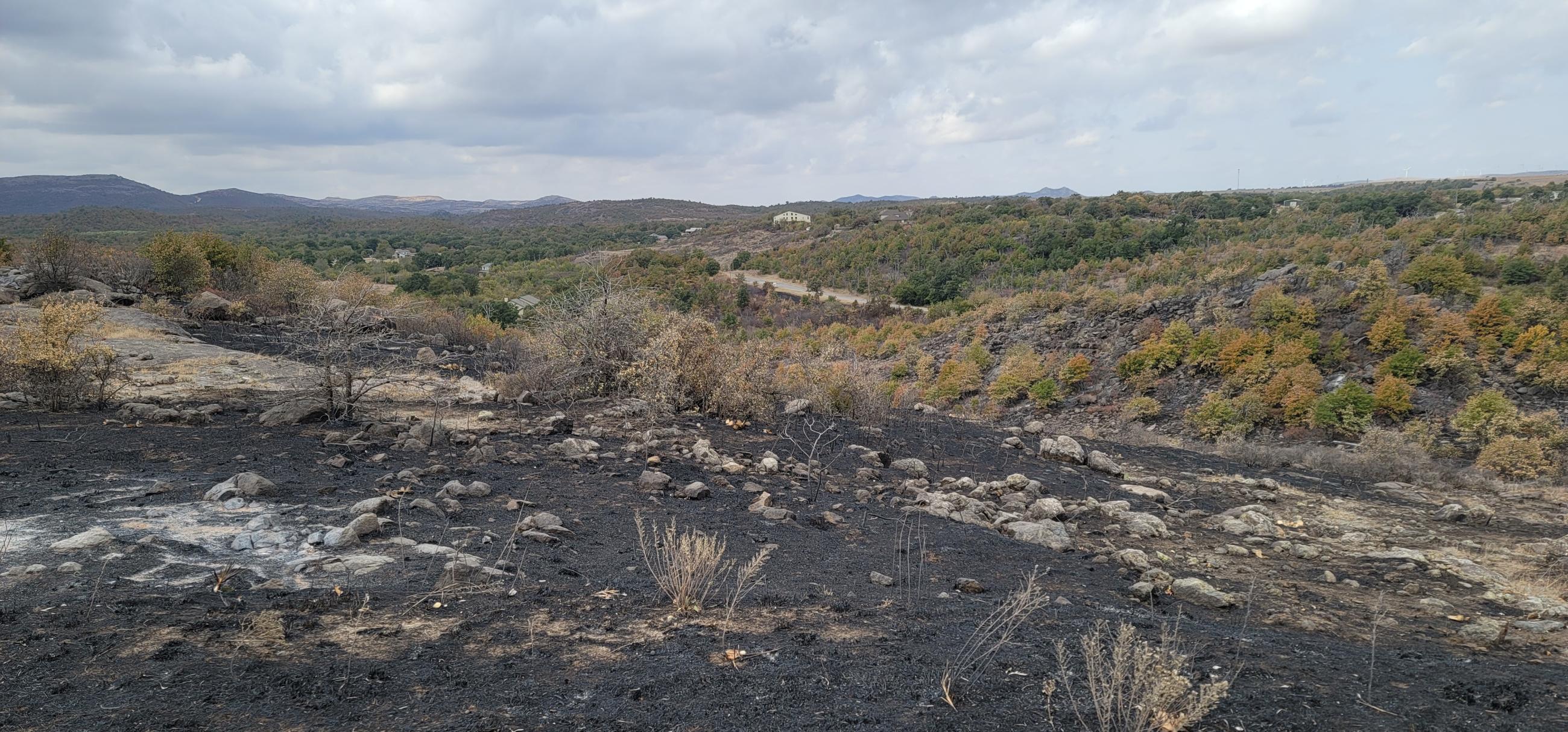 northside Rush Fire looking north across fireline