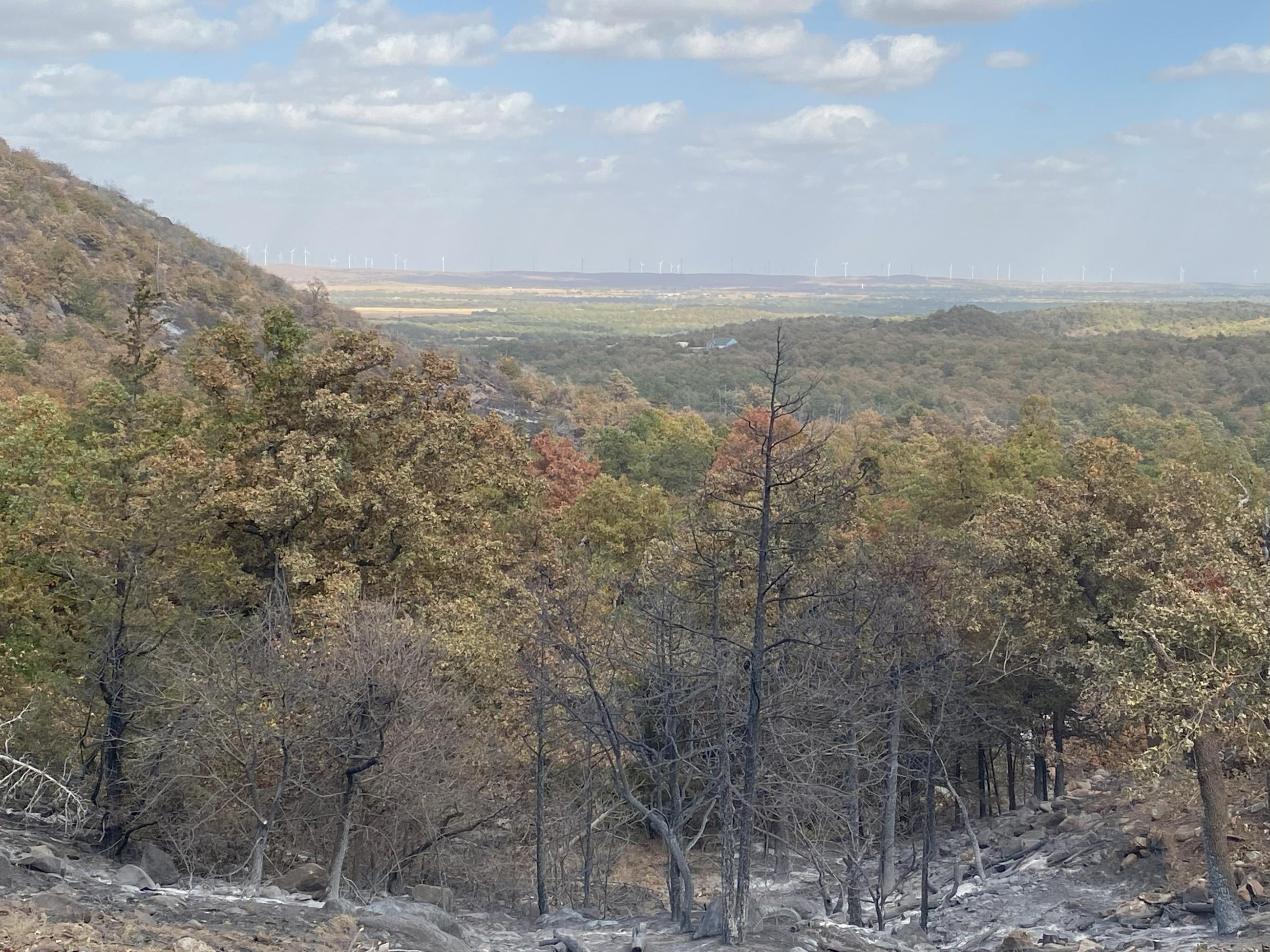 elevated view overlooking northern side of Rush Fire across the fire edge to views further north