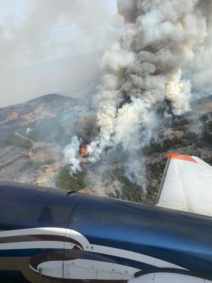 Photo taken from the sky of a grey and white plume coming from the Elk Fire. The white wing of the airplane is in the foreground with trees and fire in the background. 