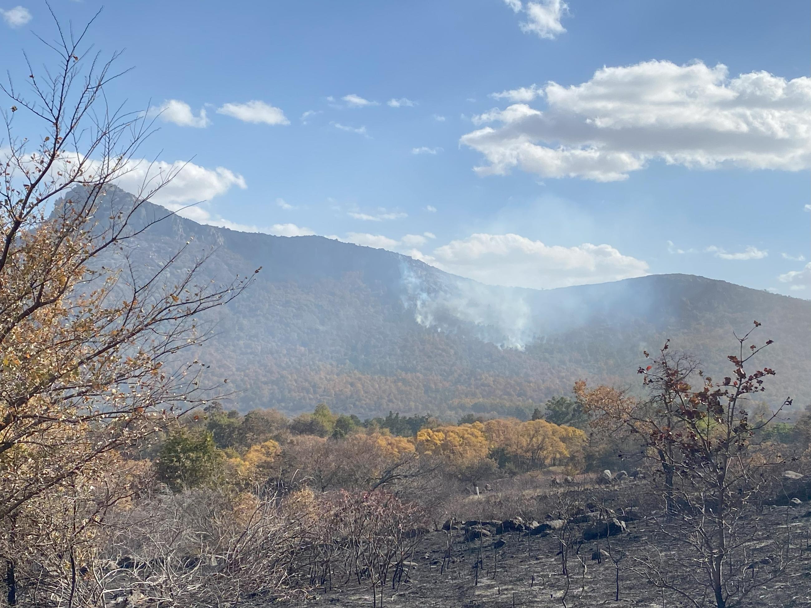 October 30, 2024 smoke on Sheridan Mountain, Rush Fire interior unburned fuels, no threat to fireline