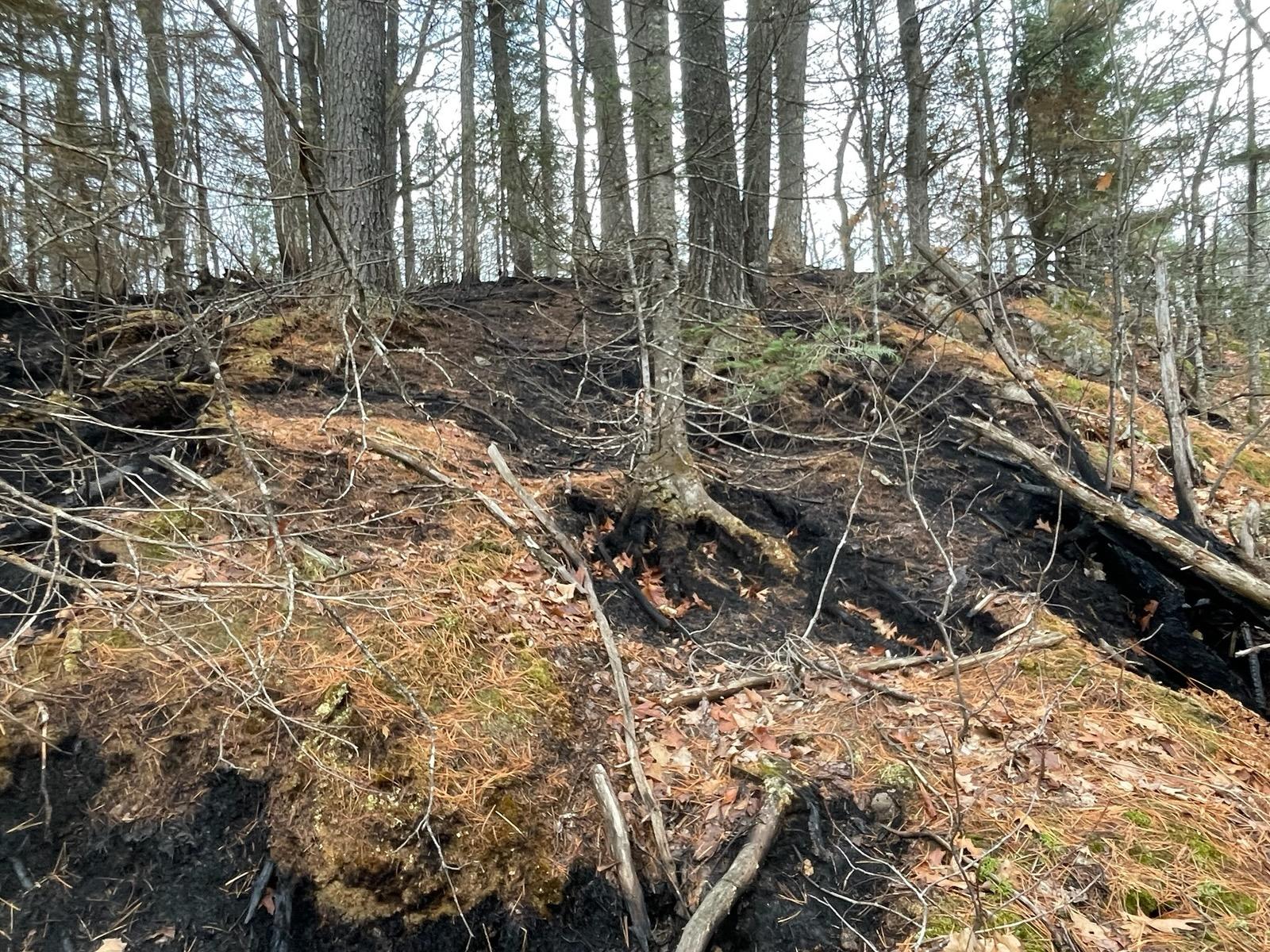 Summit Lake Fire on November 7 after rain and snow. 