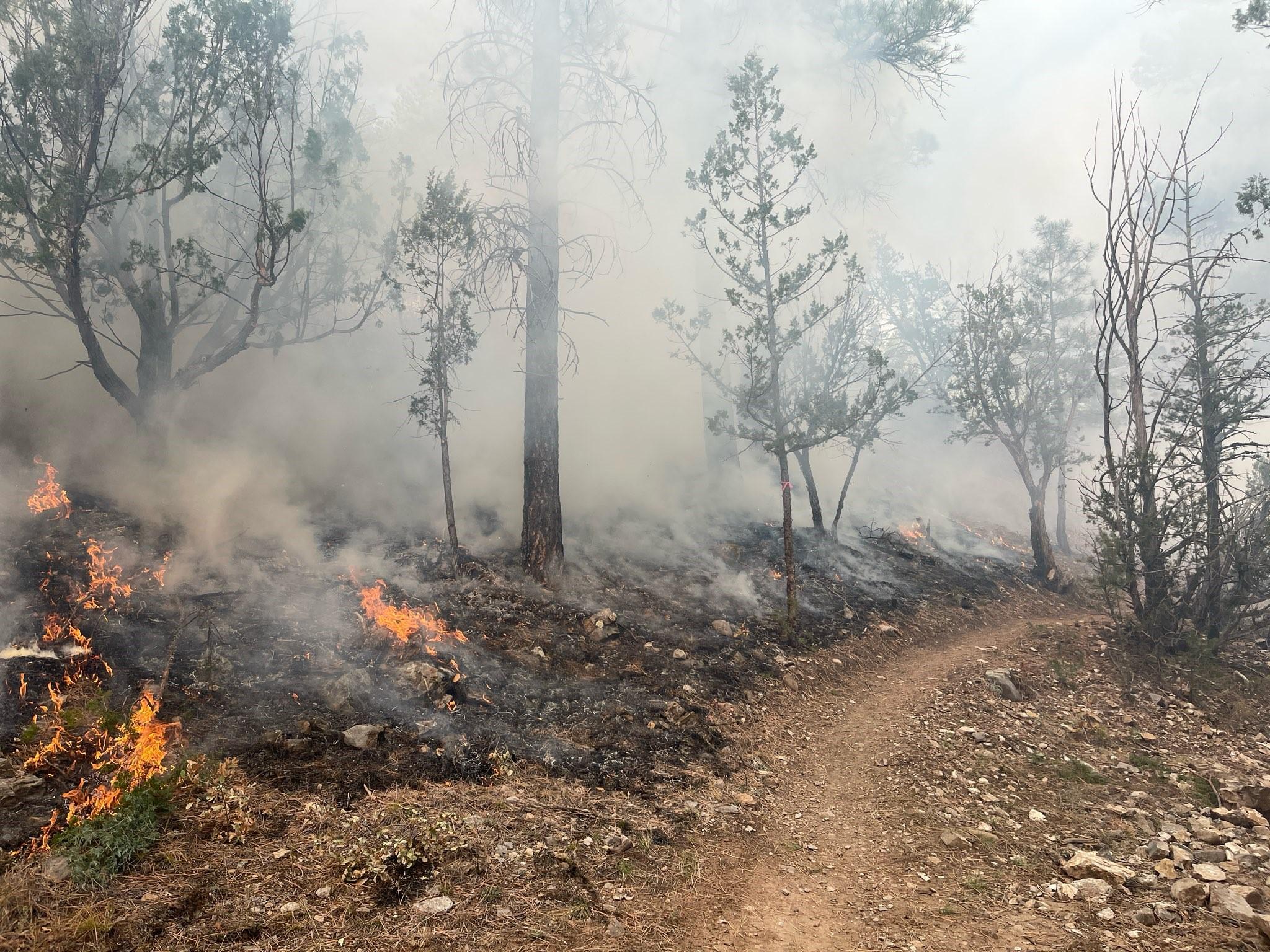 Photo of the Sandia Ranger District Tablazon Prescribed Fire on November 1, 2024