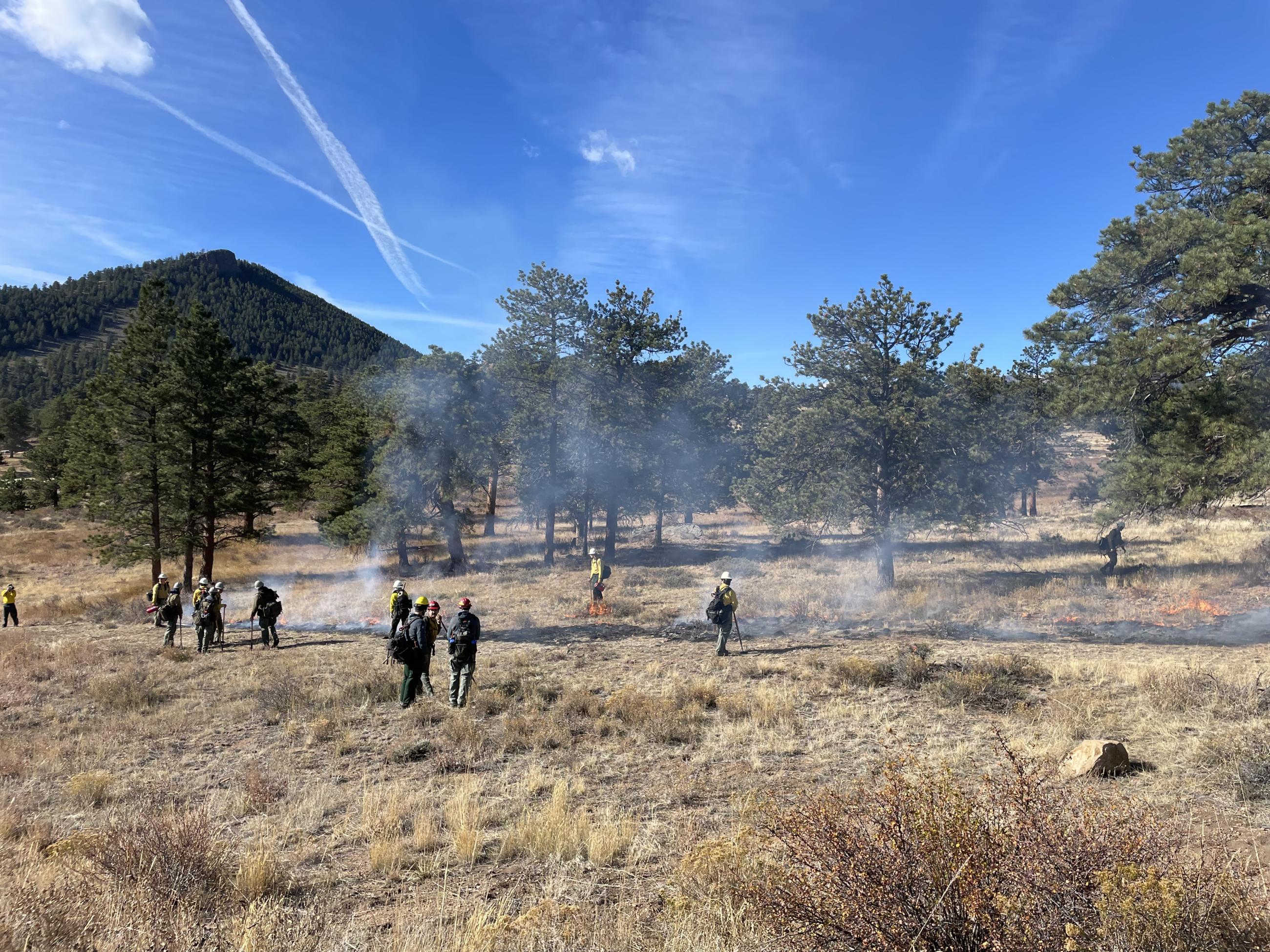 Firefighters lighting the test fire on the Front Country Prescribed Fire. Firefighters standing in a meadow of brown grass with scattered ponderosa pine behind. Smoke rises from a line of fire burning grass among the firefighters. 