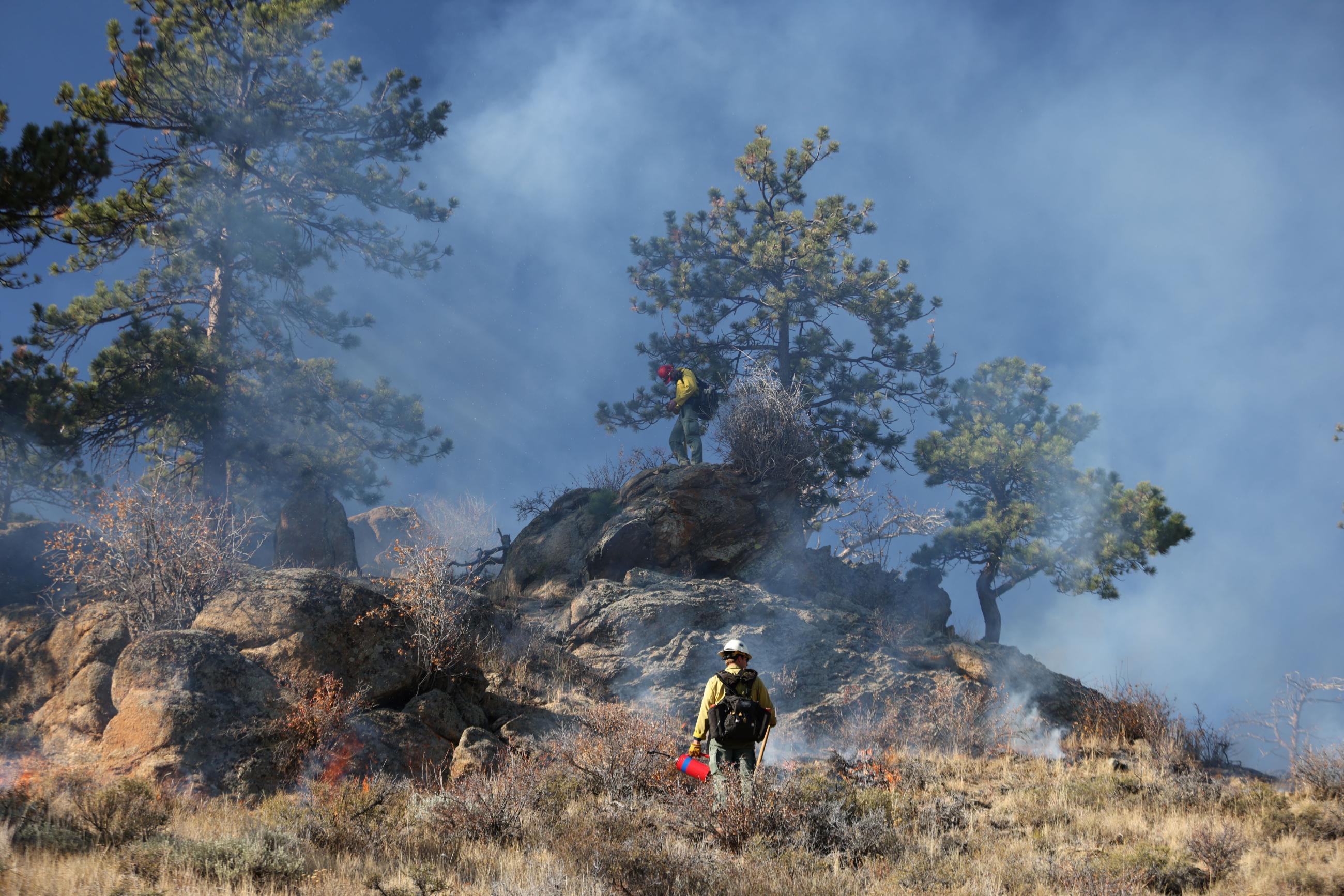 Firefighters light the a fire on a rocky outcrop surrounded by trees