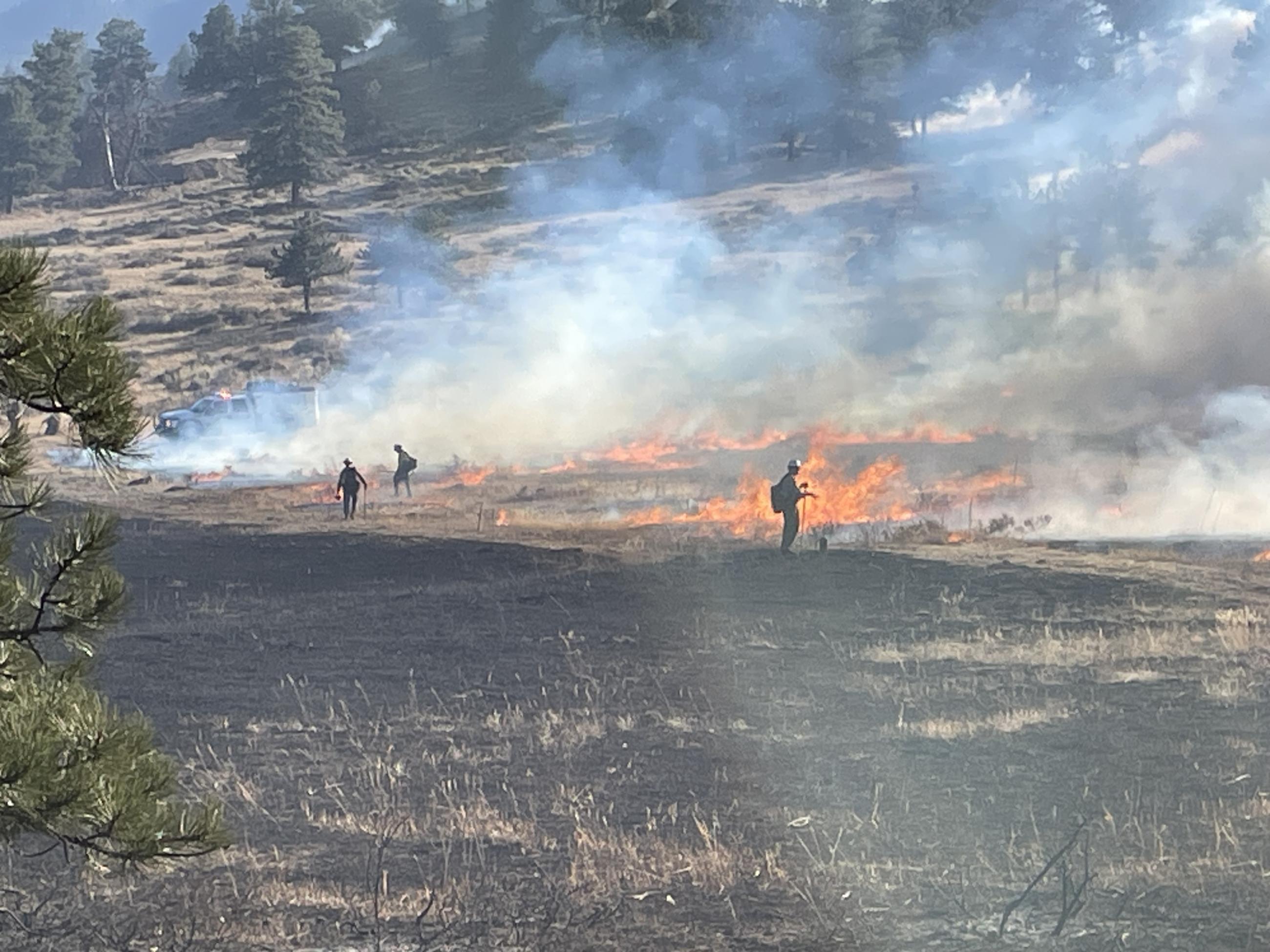 Three firefighters, some carrying drip torches light fire. The foreground is black, having already burned; flames are visible behind them with unburned vegetation including grass, brush, and trees behind them. 