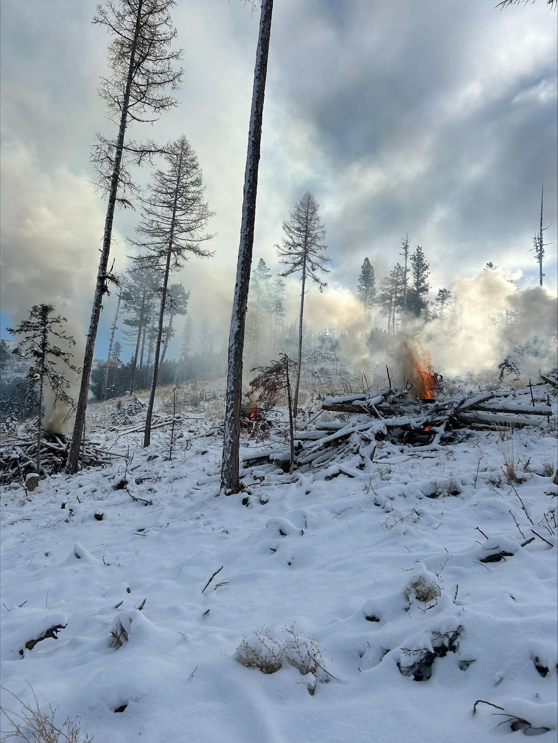 Snow in the forest with piles burning