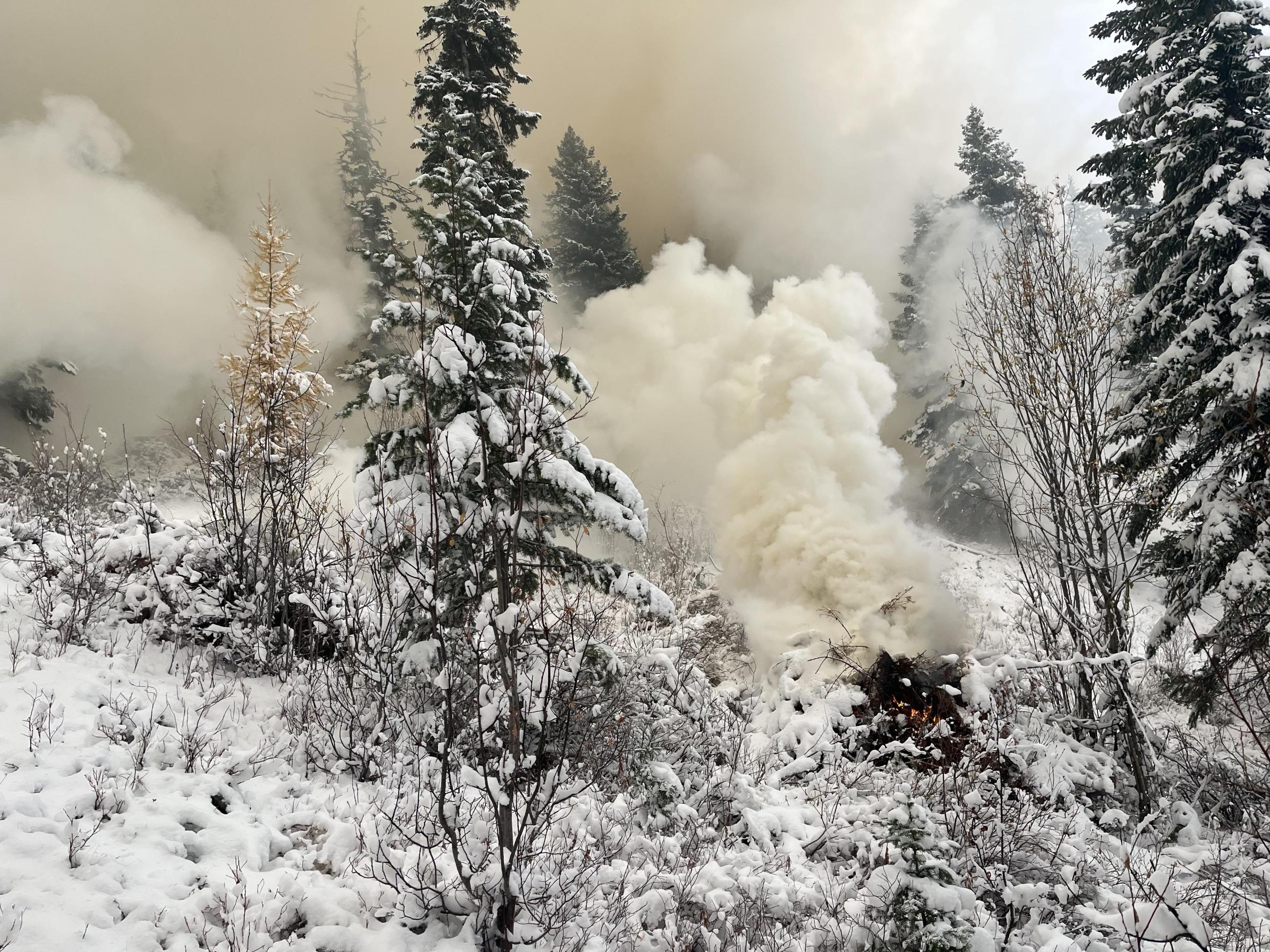 piles burning in the snow 