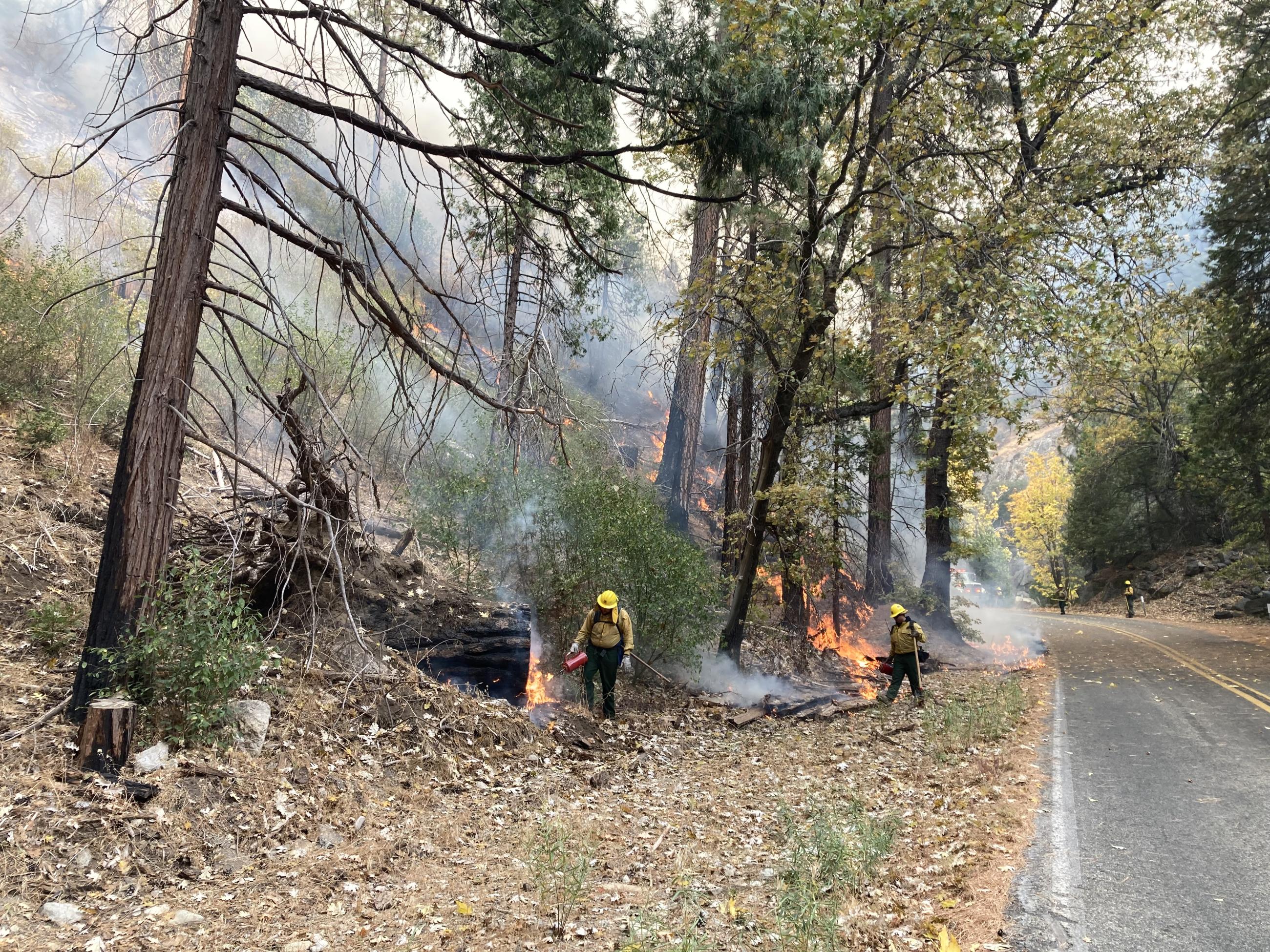 Hand crew firing along north side of Hwy 180.