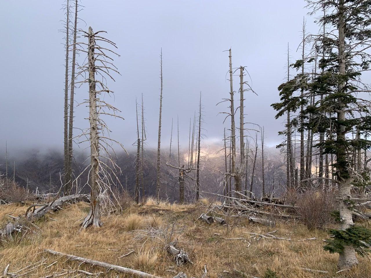 Clouds rolling in to Blue Front fire 11/3/2024
