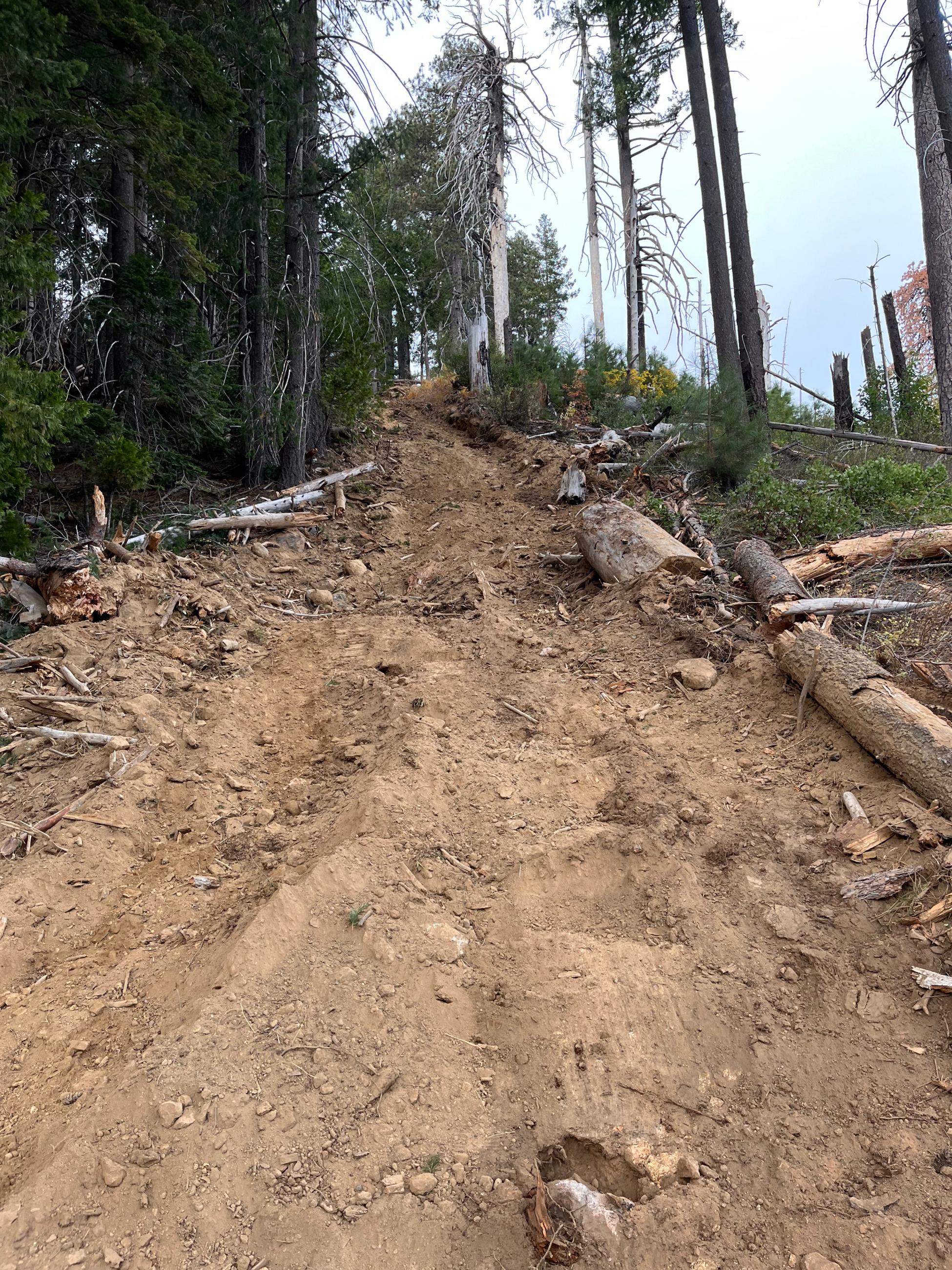 Exposed soil from dozer line that is being repaired with drainage features as well as vegetation and woody debris scattered on top to prevent erosion.