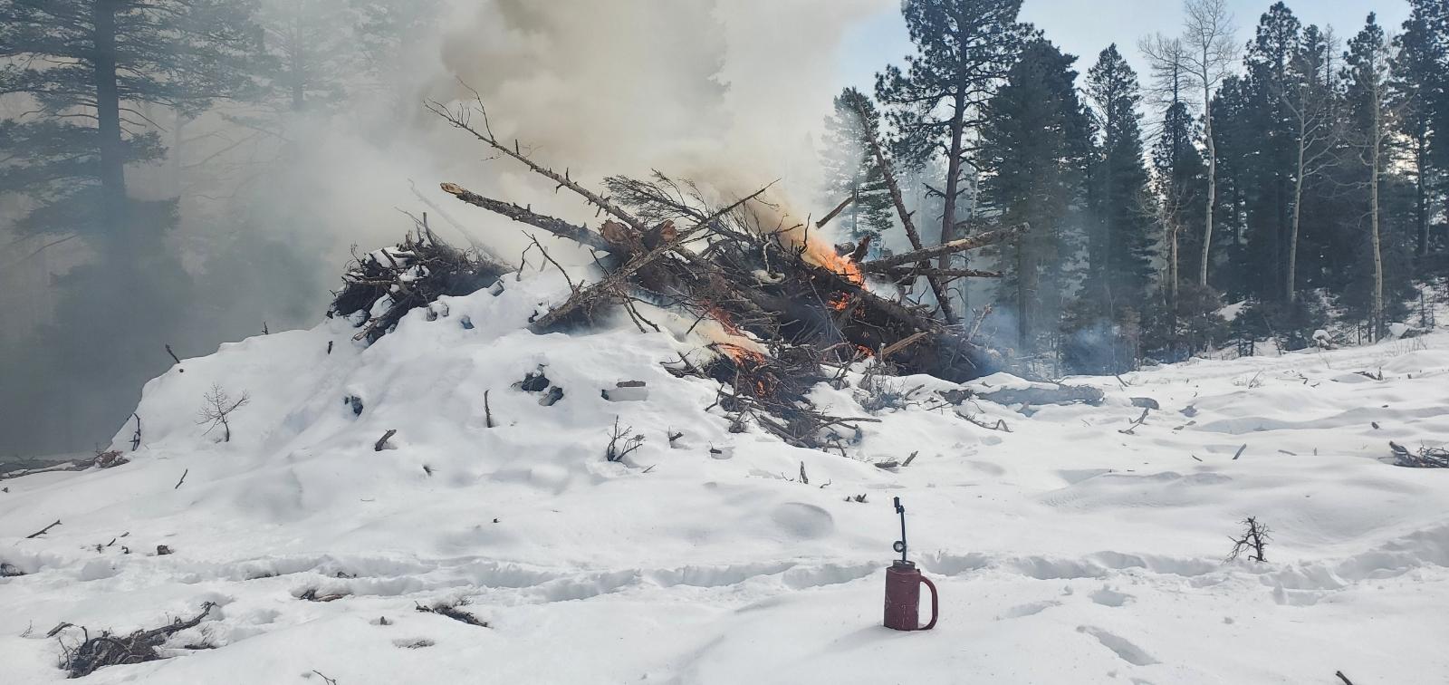 Photo of snow, pile of wood and fire on forest.