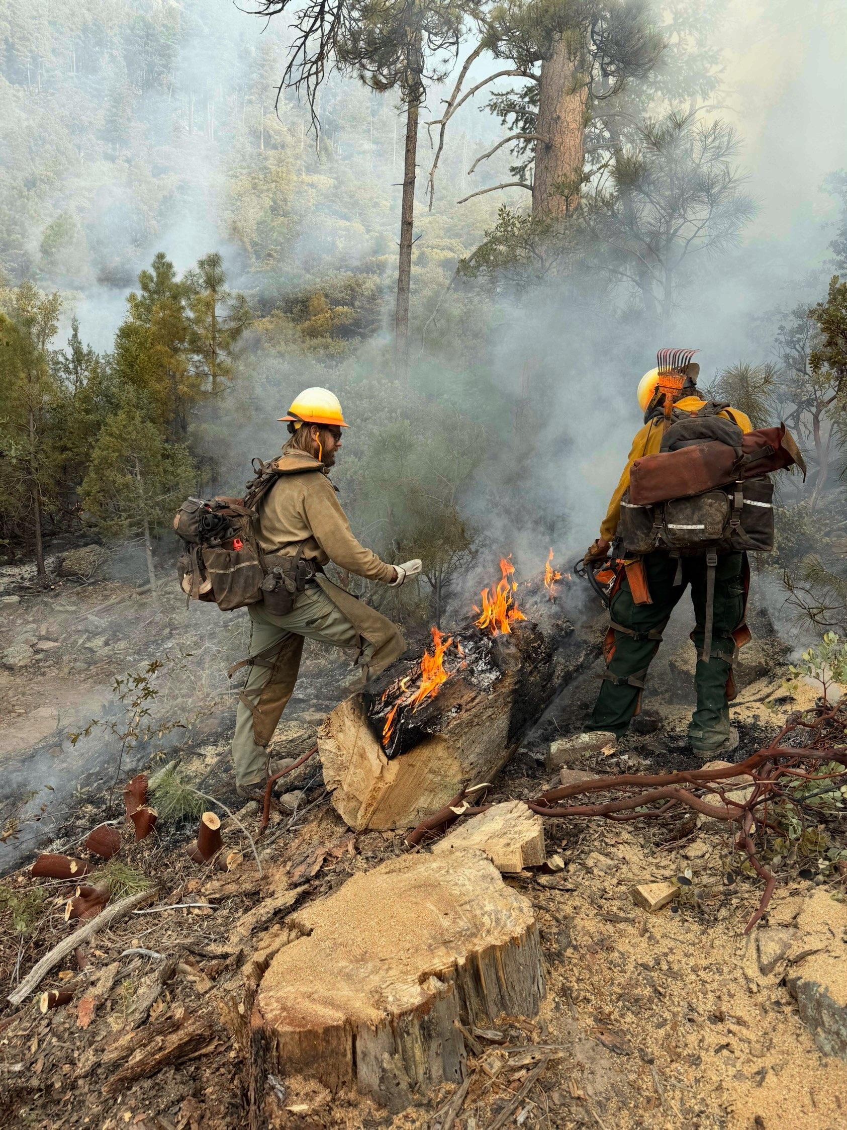 Two firefighters stand next to a burning downed log.