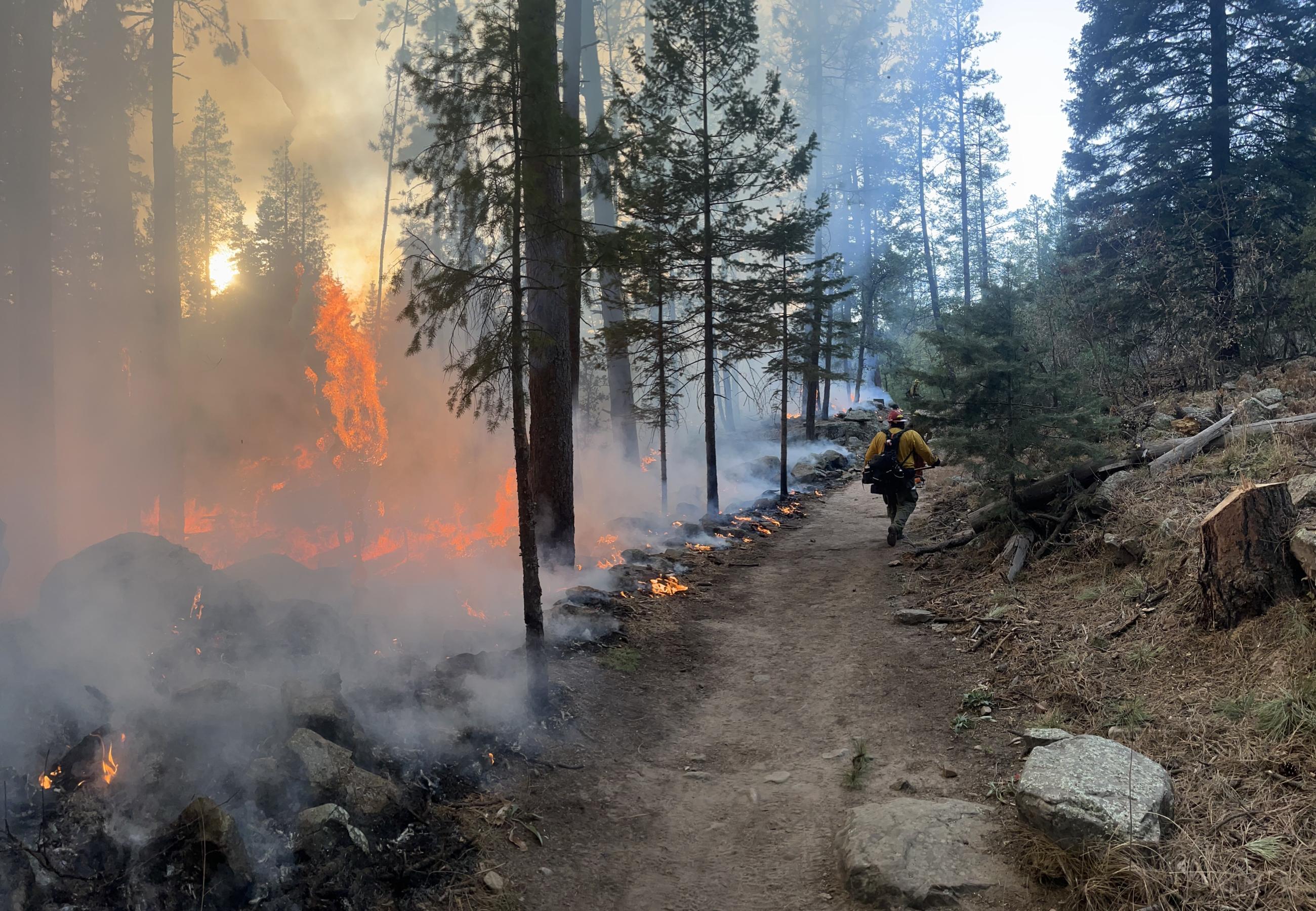A firefighter walks along a control line while fire actively burns left and down a steep slope.