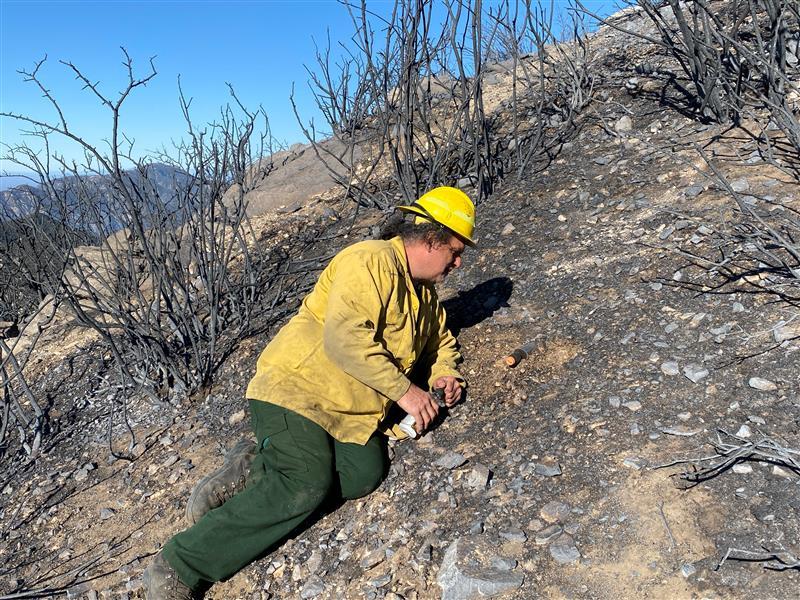 Color Photo Image Showing BAER Soil Scientist Eric Nicita Assessing Eaton Burned Area Soil Conditions