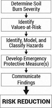 Image showing the 6 steps in the California Watershed Emergency Response Team process