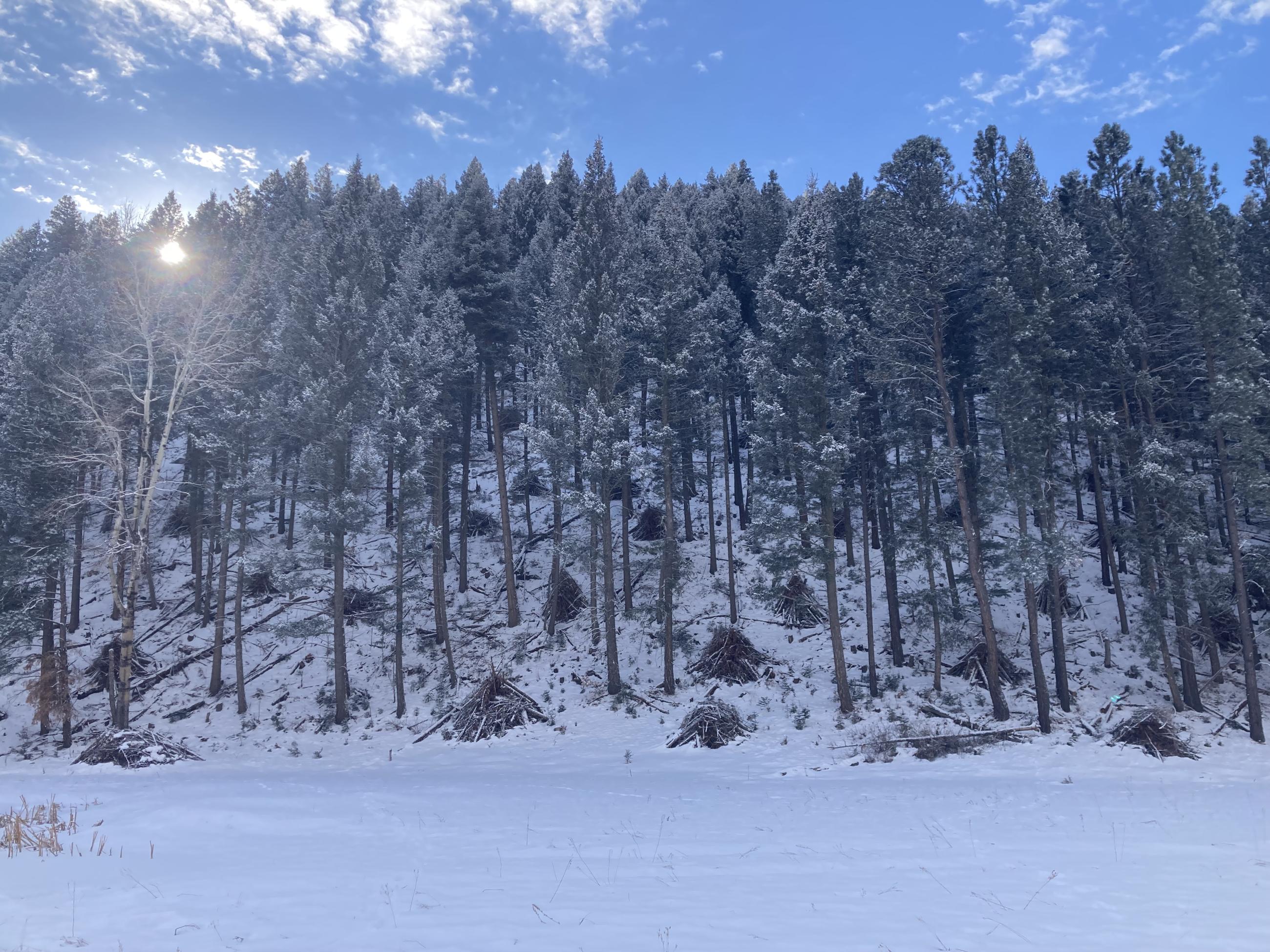Hill Unit Prescribed Pile Burn