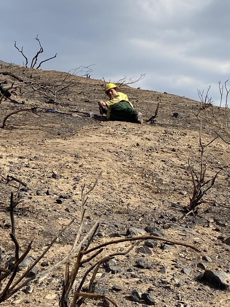 Color Photo Image Showing BAER Soil Scientist Eric Nicita Assessing Eaton Burned Area Soil Conditions