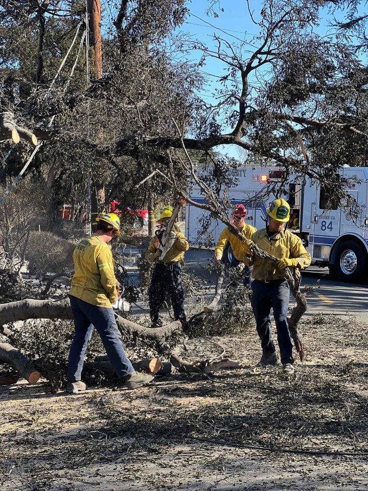 Firefighters from Kern County Fire Department Engines 84 and 72 working along streets in Altadena to remove fallen trees from the roadway.