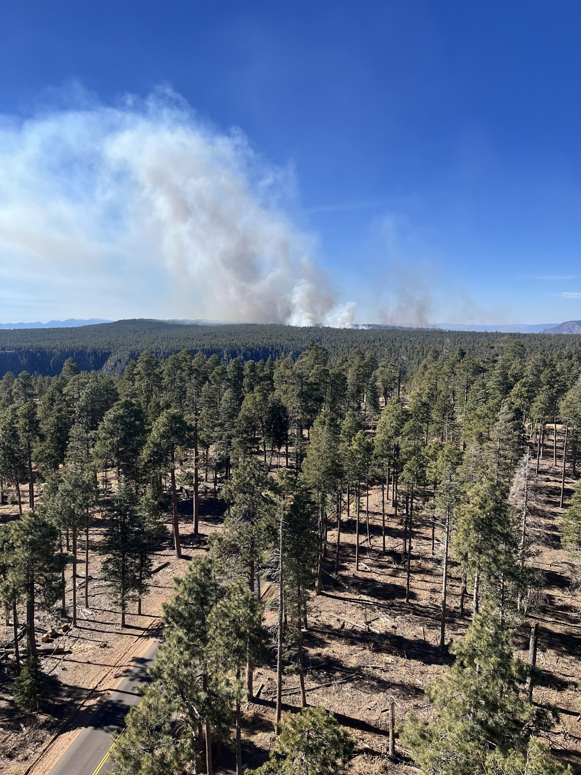 A smoke column above a forested ridgeline.