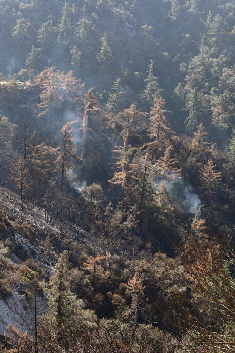 Showing smoke within the Eaton Fire perimeter in unburned fuels.