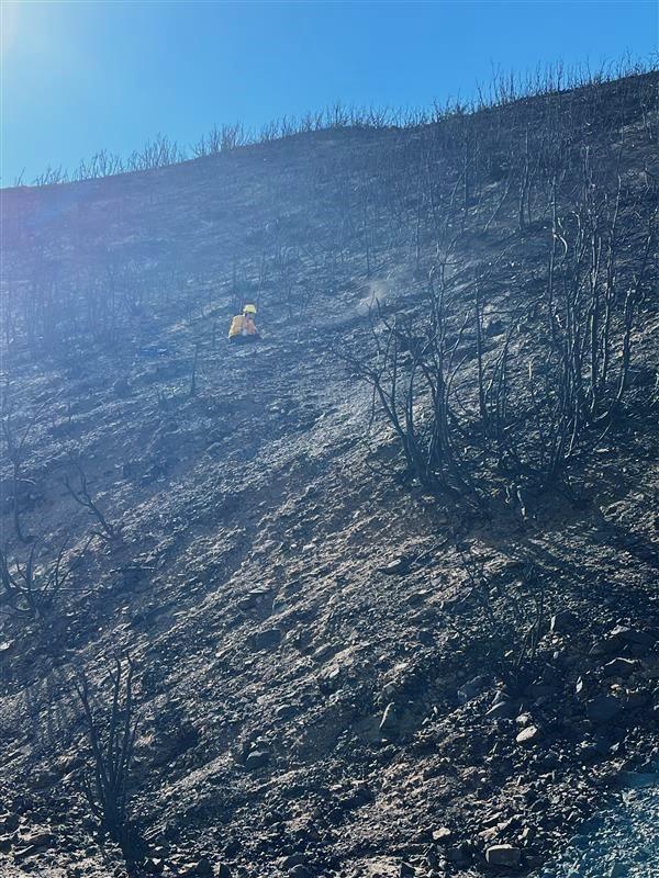 Color Photo Image Showing BAER Soil Scientist Eric Nicita Assessing Eaton Burned Area Soil Conditions