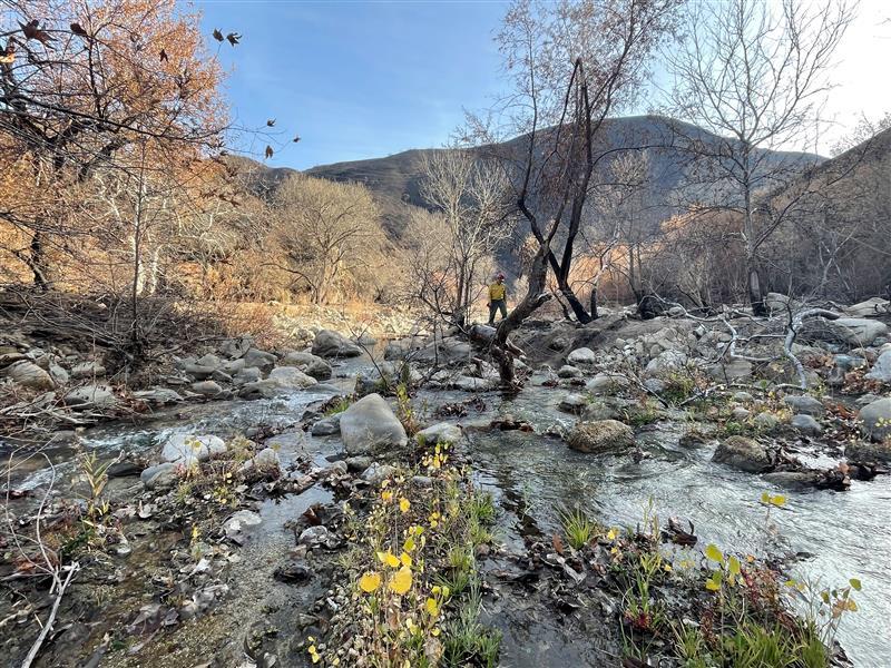 BAER Team Specialists Assess Hughes Burn Area