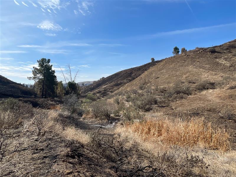 BAER Team Specialists Assess Hughes Burn Area