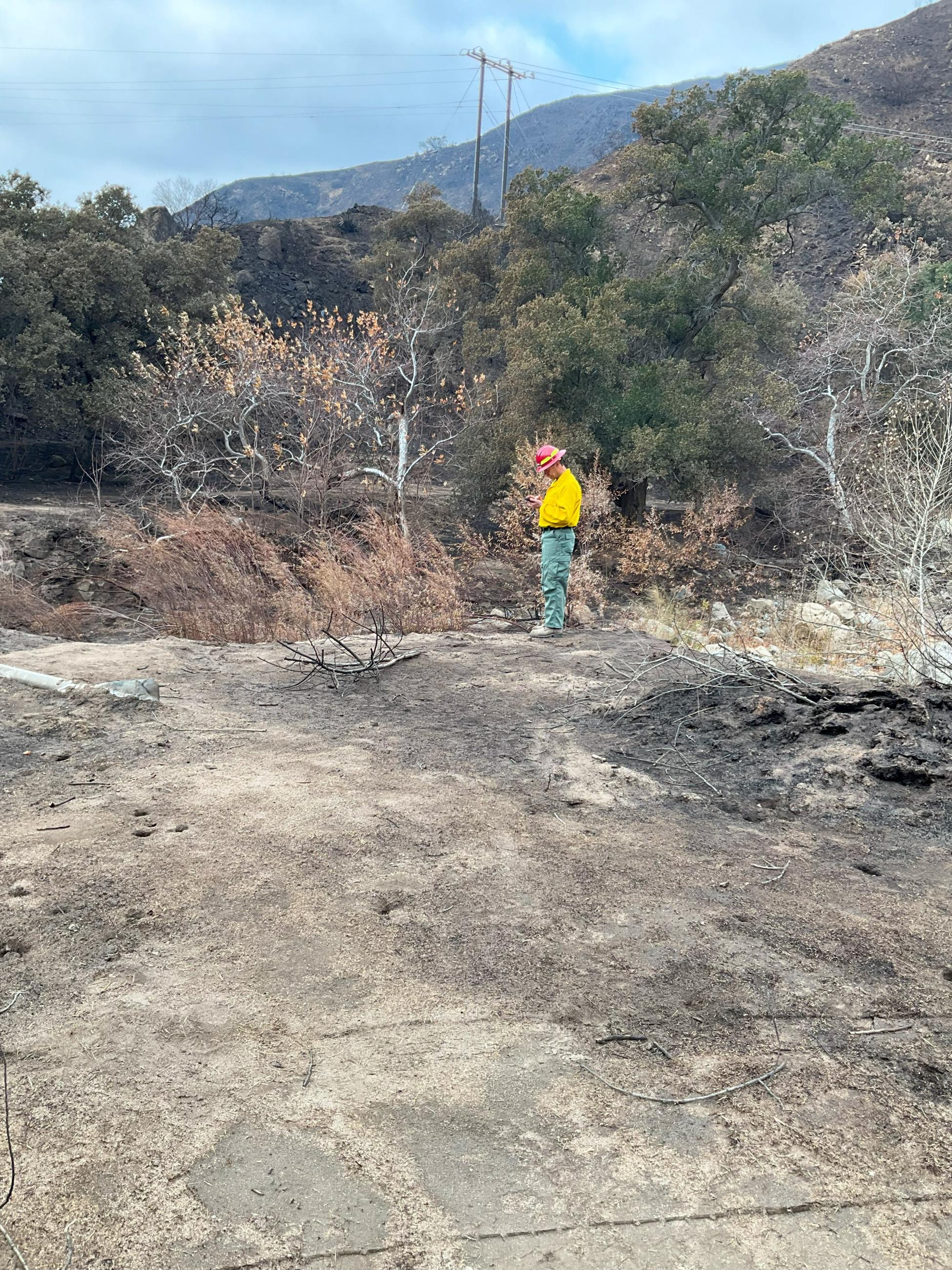 Photo Image Showing BAER Geologist Assesses Hillslope and Past Debris Flow Deposits in Hughes Burn Area