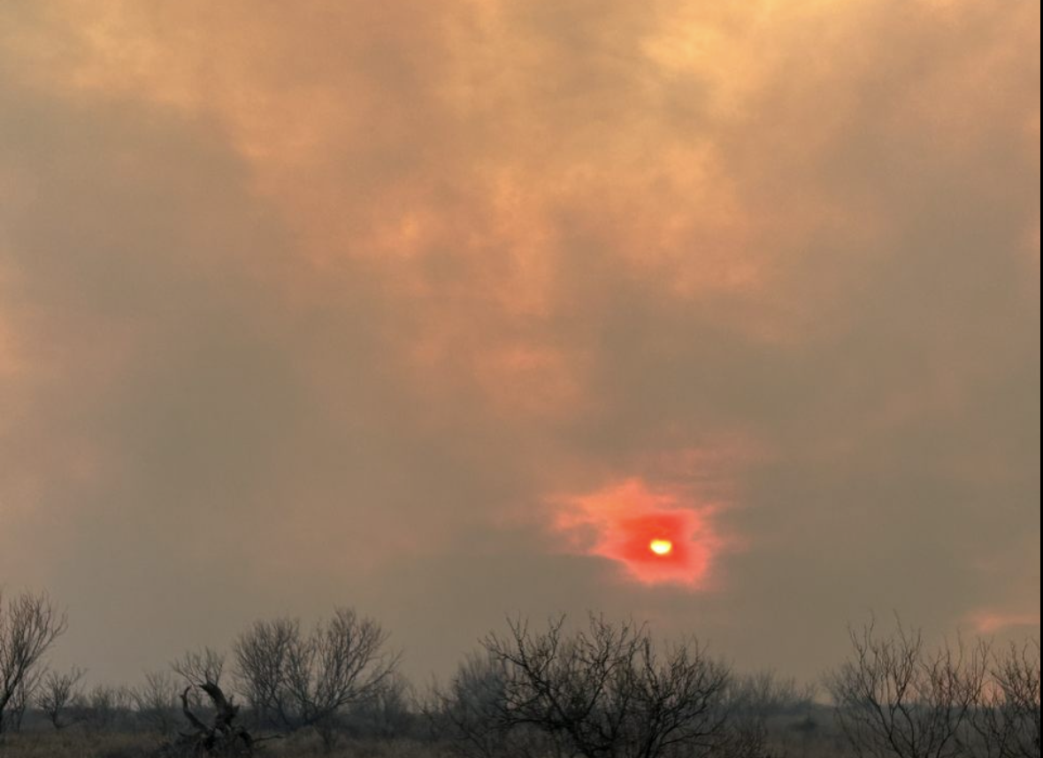 Smoke Column rising into sky covering the sun giving it a red color with mesquite trees and other shrubs at bottom of picture.