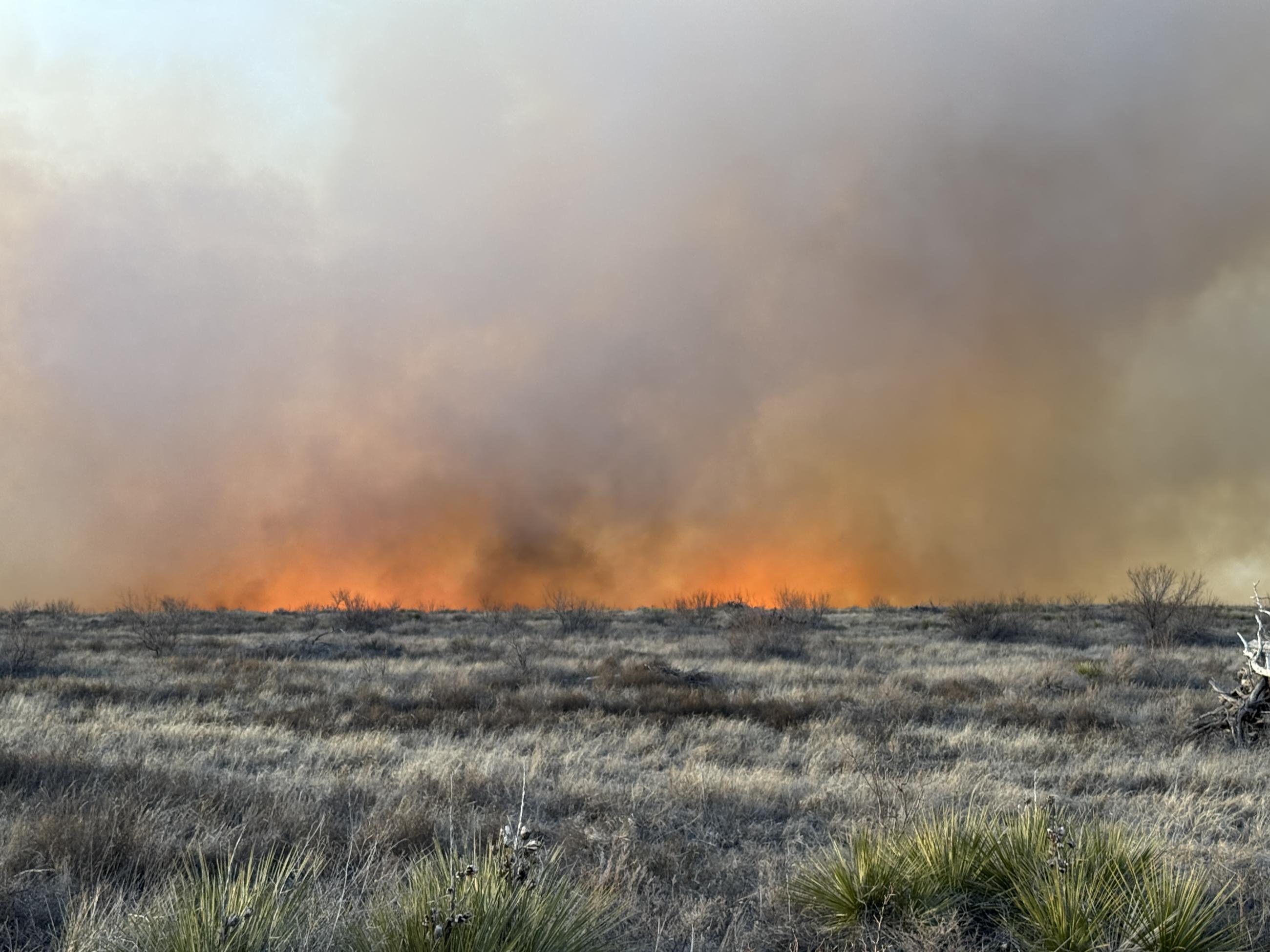 Orange glow of the flaming front coming over a thick grassy hill with smoke plume rising into sky.