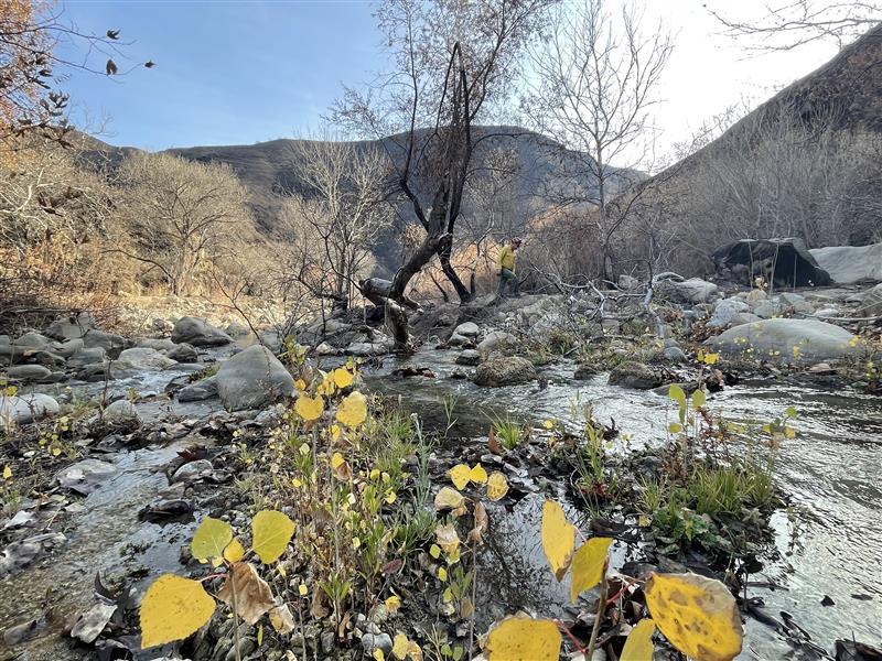 BAER Team Specialists Assess Hughes Burn Area