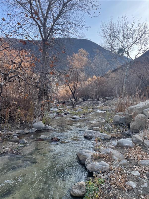 BAER Team Specialists Assess Hughes Burn Area