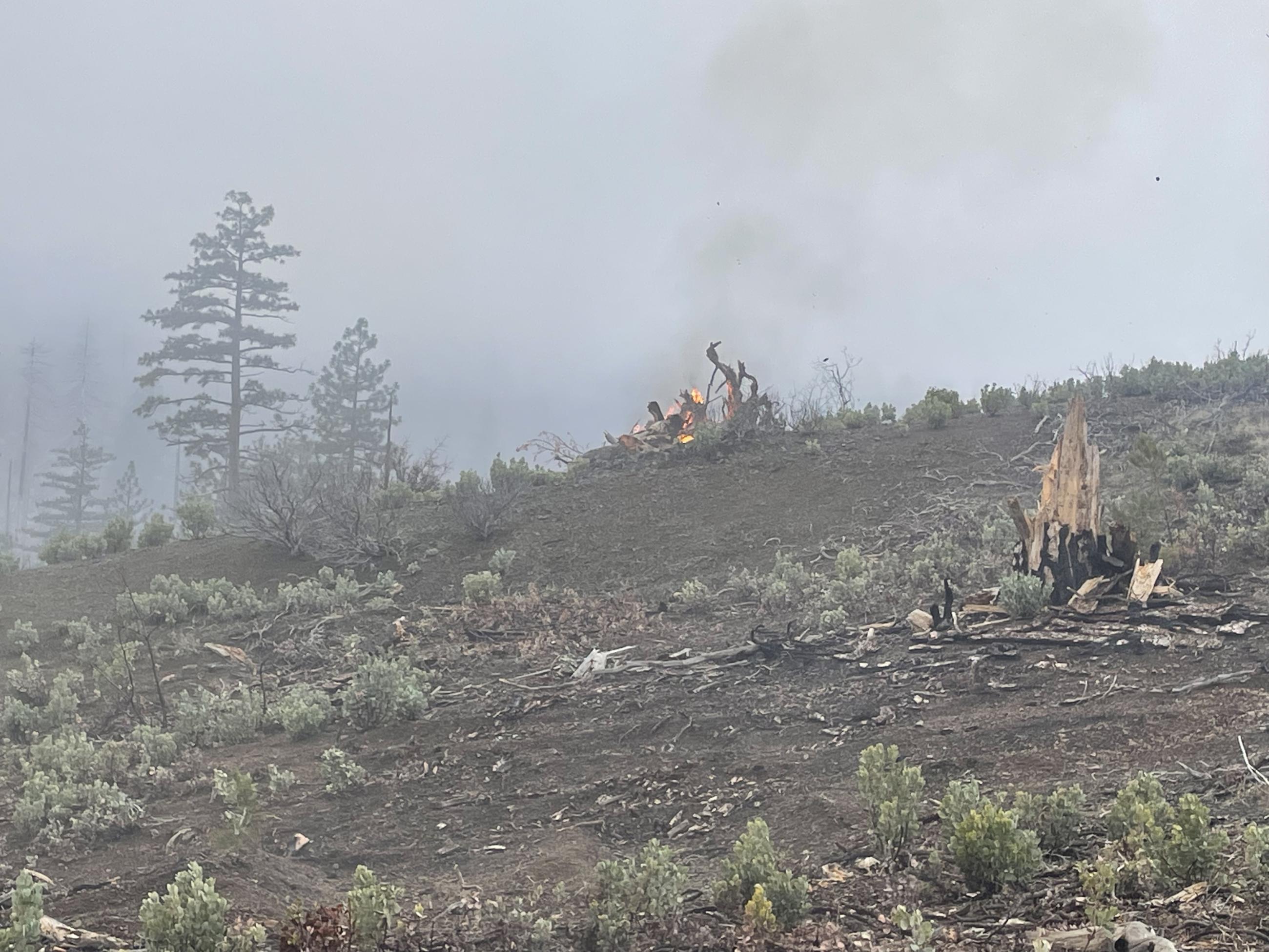 Firefighters burning piles in the Letts Lake basin in wet spring weather