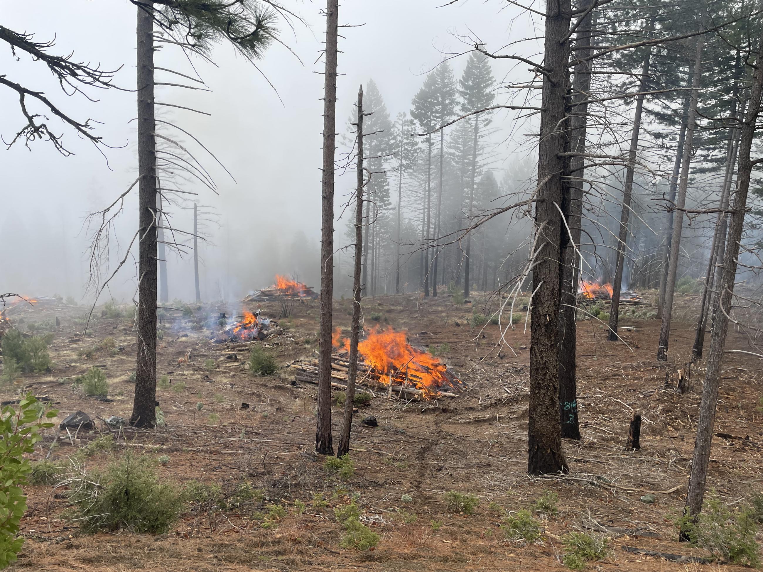 Letts Lake pile burning in spring