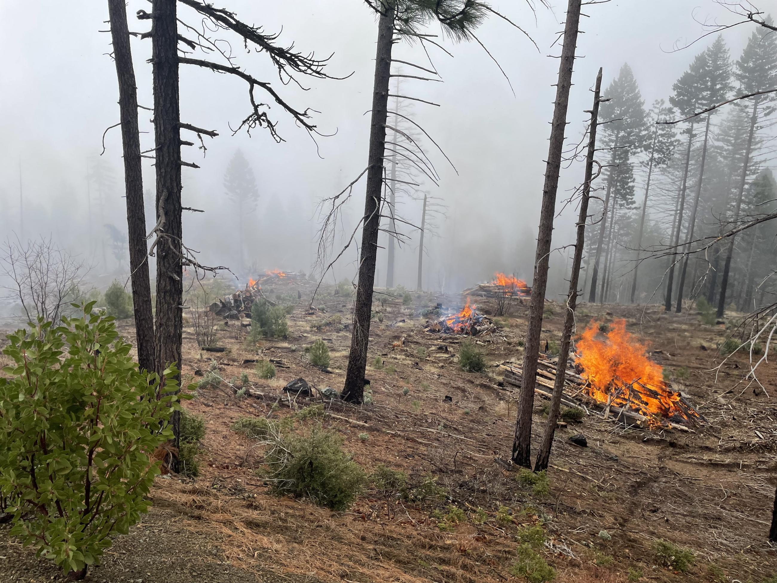 Letts Lake pile burning in spring