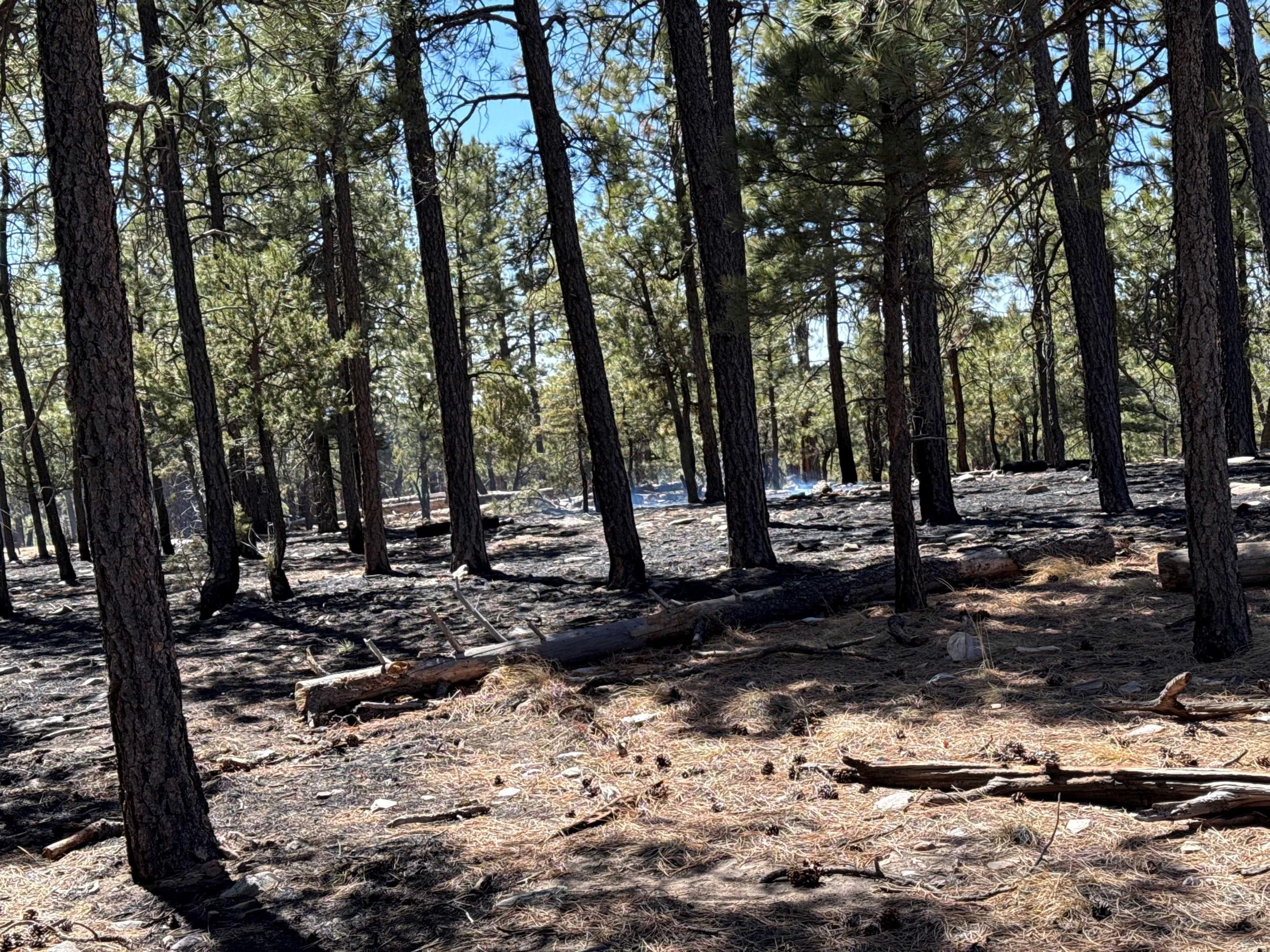 Ox Fire Day 2
