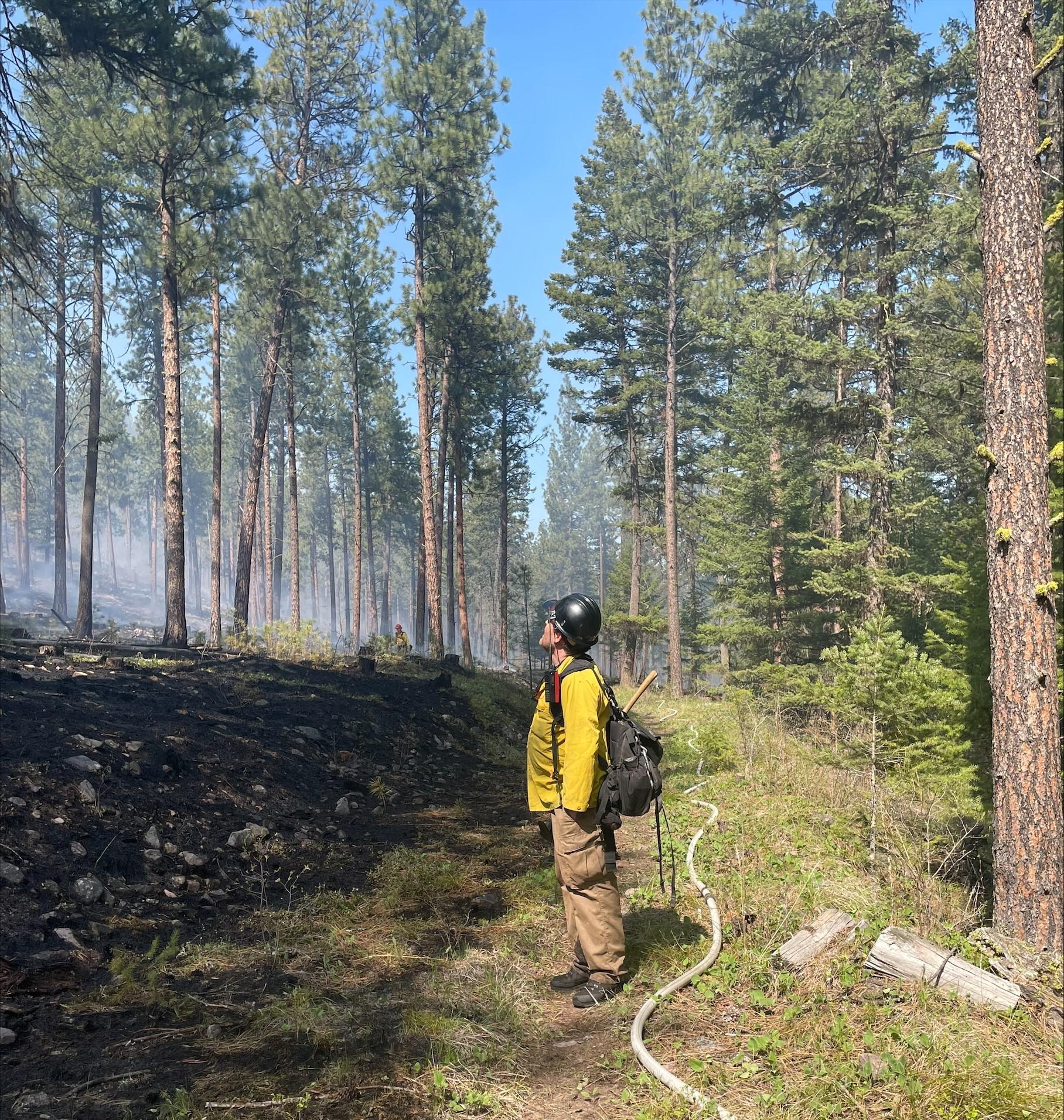 Firefighters looking for aerial hazards on blue Mountain RX
