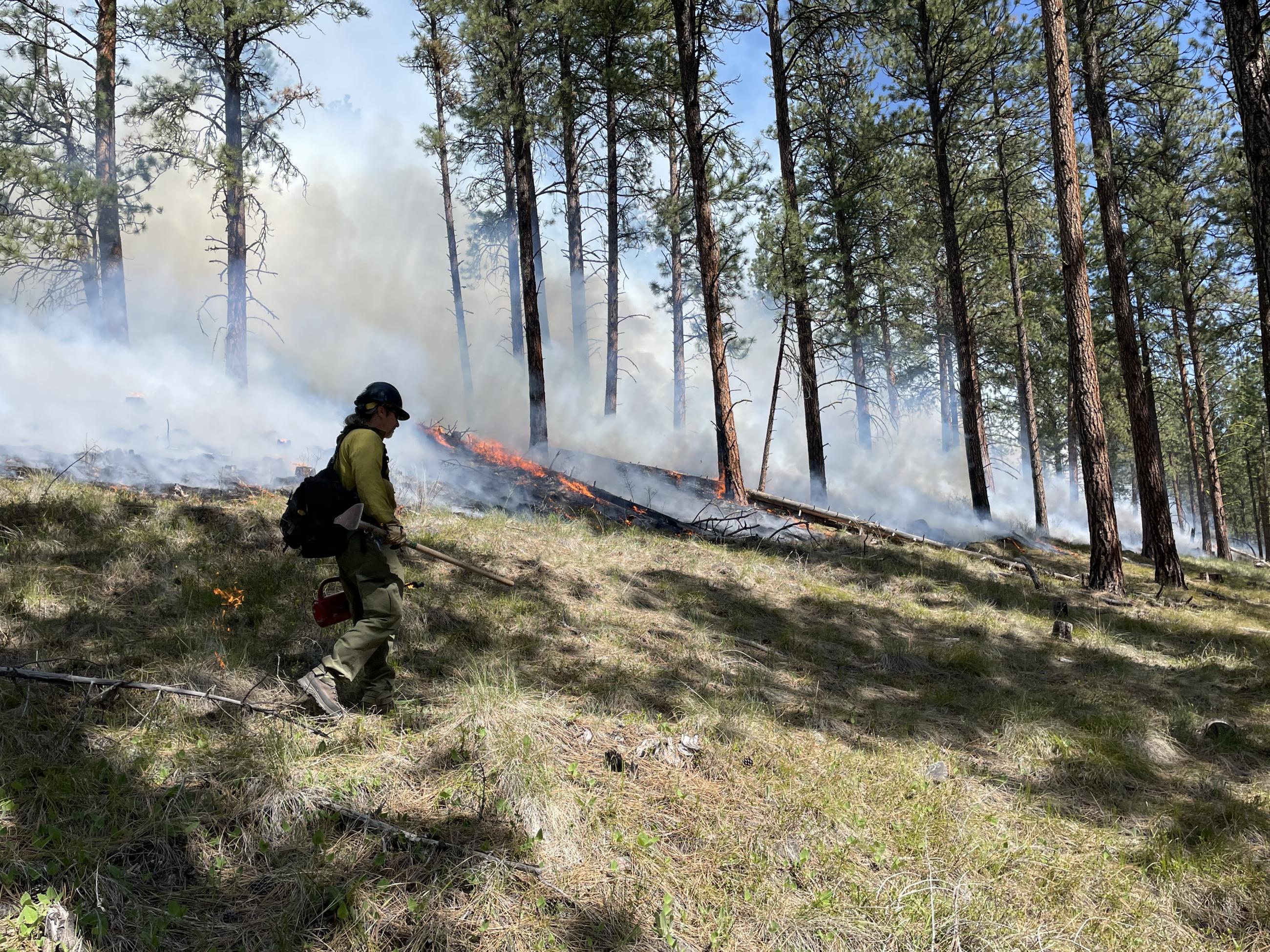 Firefighter with drip torch on RX